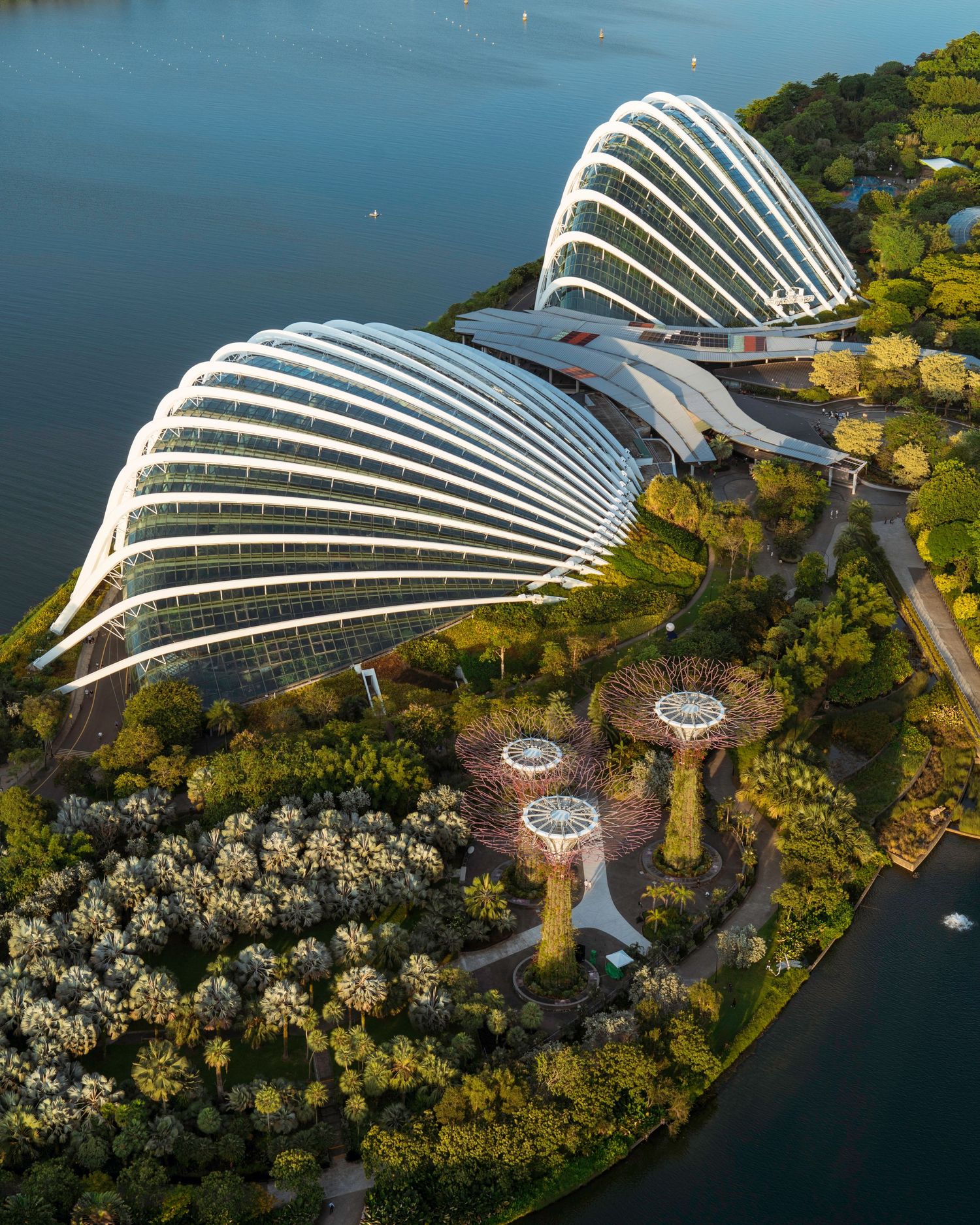 Gardens by the Bay conservatory building with distinctive architectural curves along the waterfront.