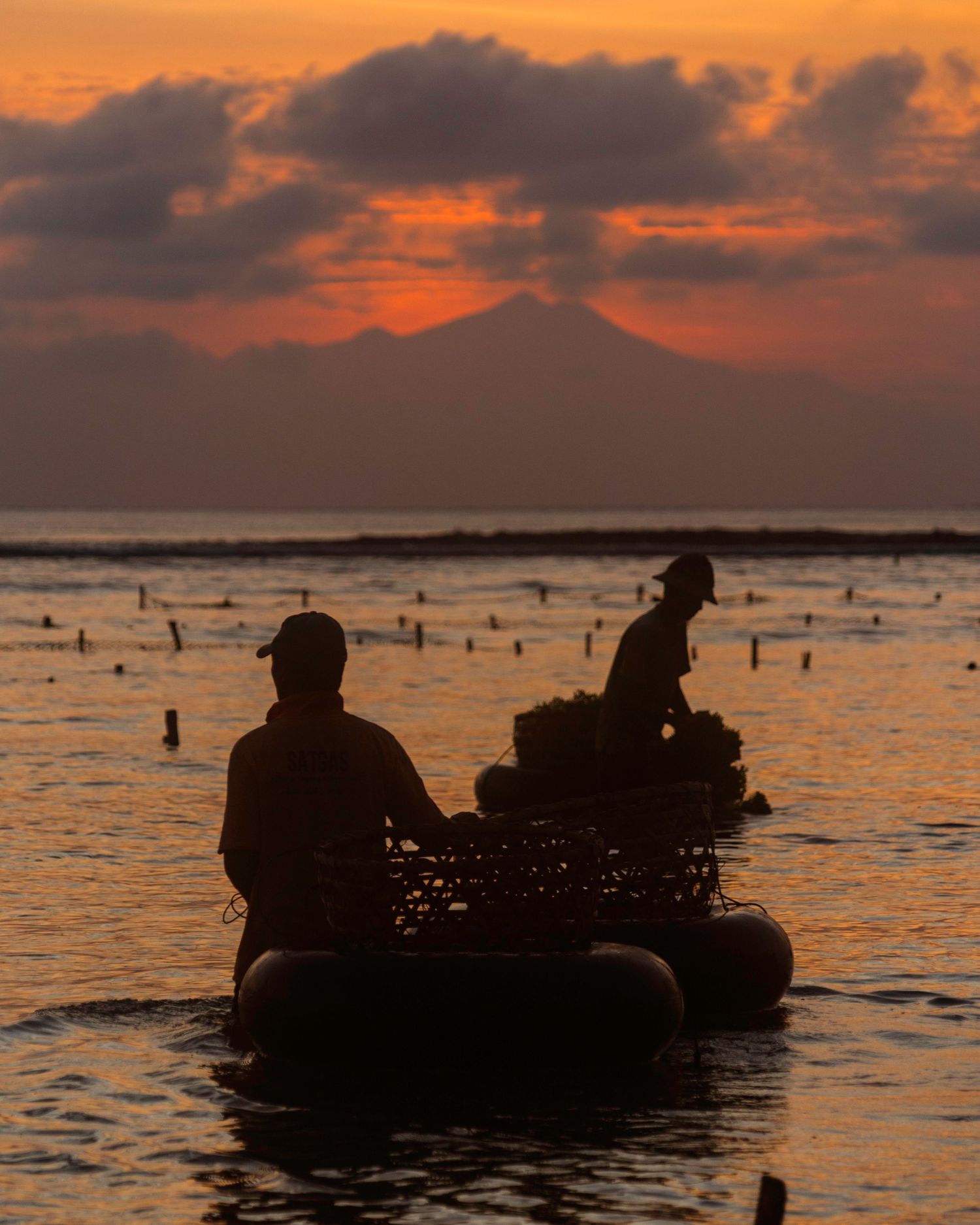Silhouettes of seaweed farmers working at sunset in Nusa Penida, Indonesia.
