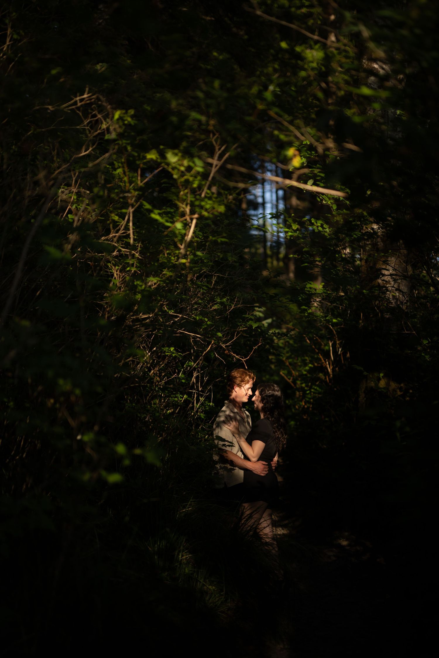 Intimate moment captured through forest foliage with natural lighting.