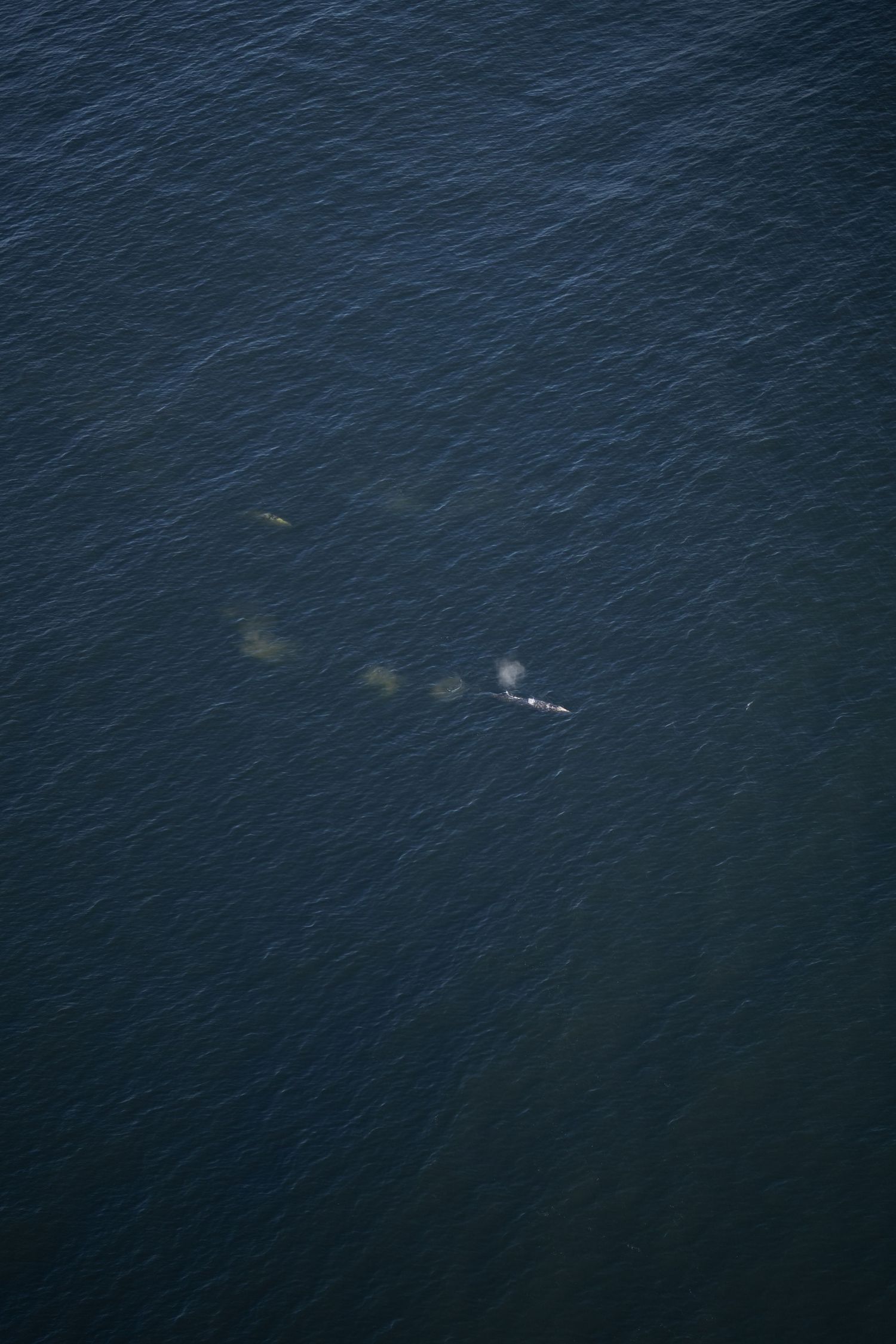 Aerial view of dark ocean waters with subtle wave patterns.