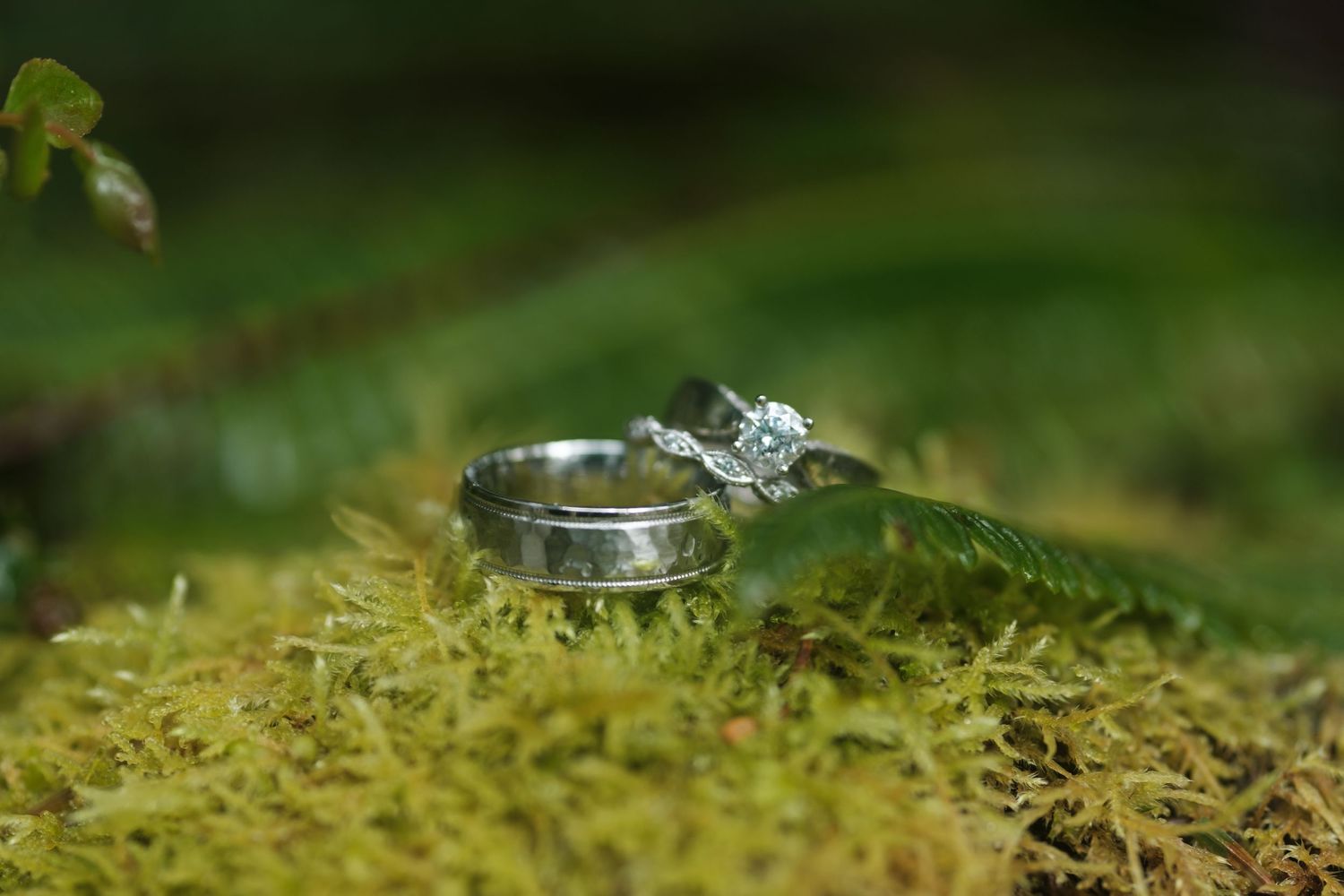 Wedding rings photographed on natural green moss.