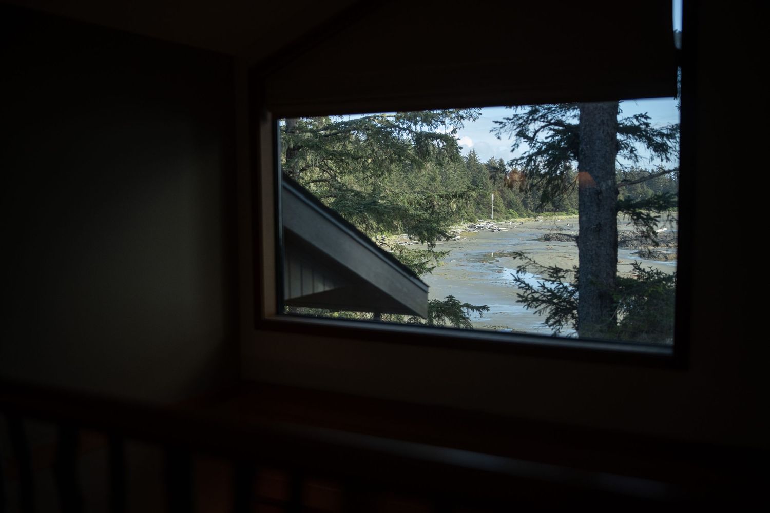 Panoramic window view of a coastal landscape with trees and water.