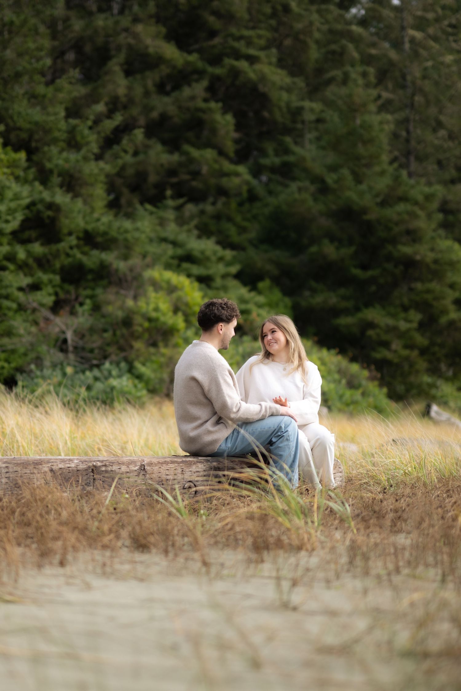 Scenic coastal viewpoint with two people sitting on rocky terrain surrounded by natural vegetation.