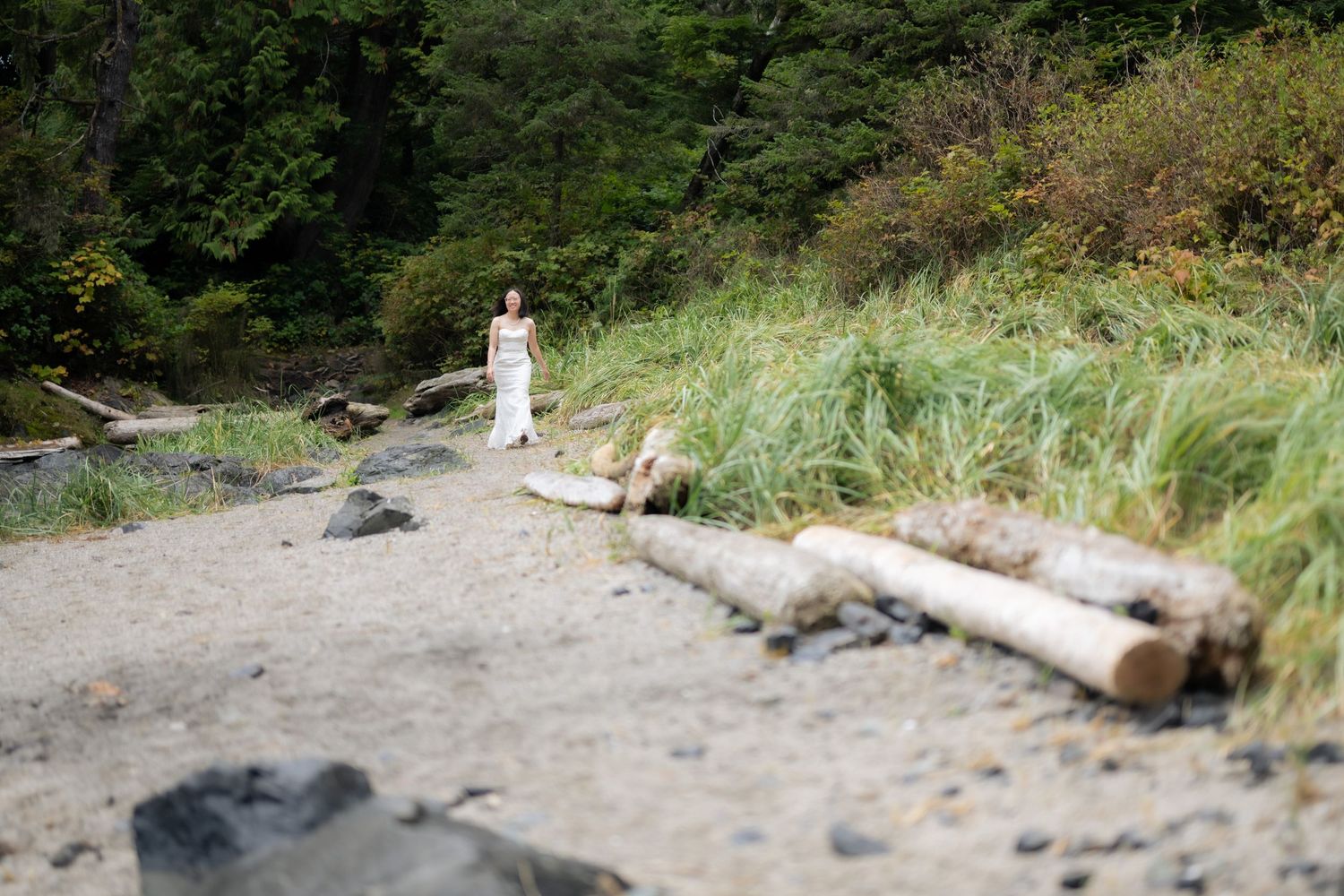 Natural beach setting with driftwood logs and coastal vegetation.
