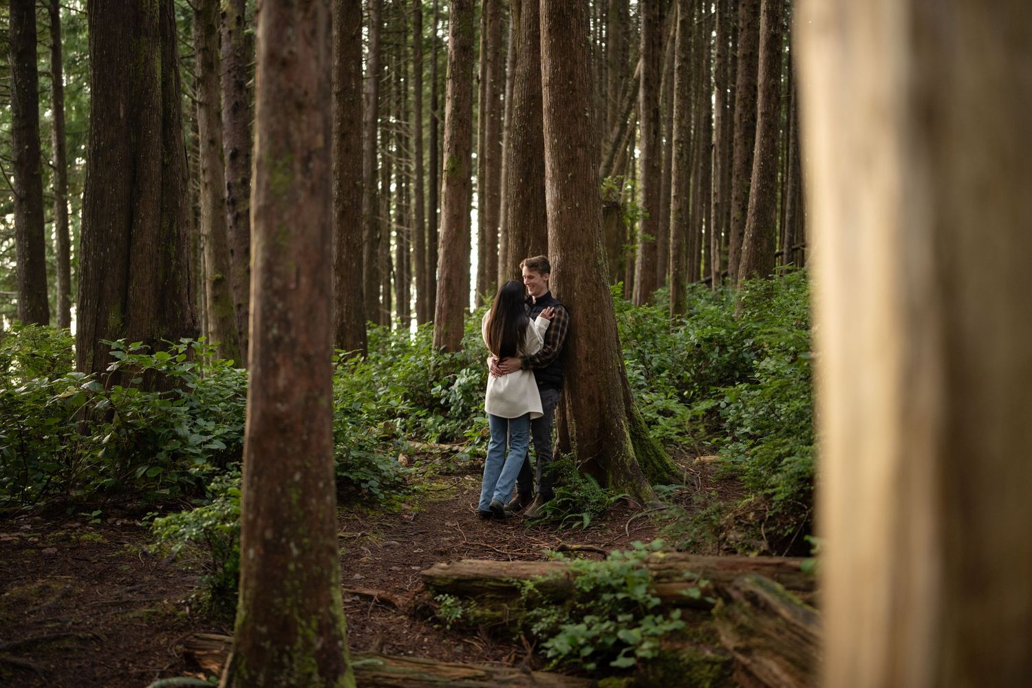 A romantic forest engagement photo session showing a couple sitting on a fallen log surrounded by tall evergreen trees.