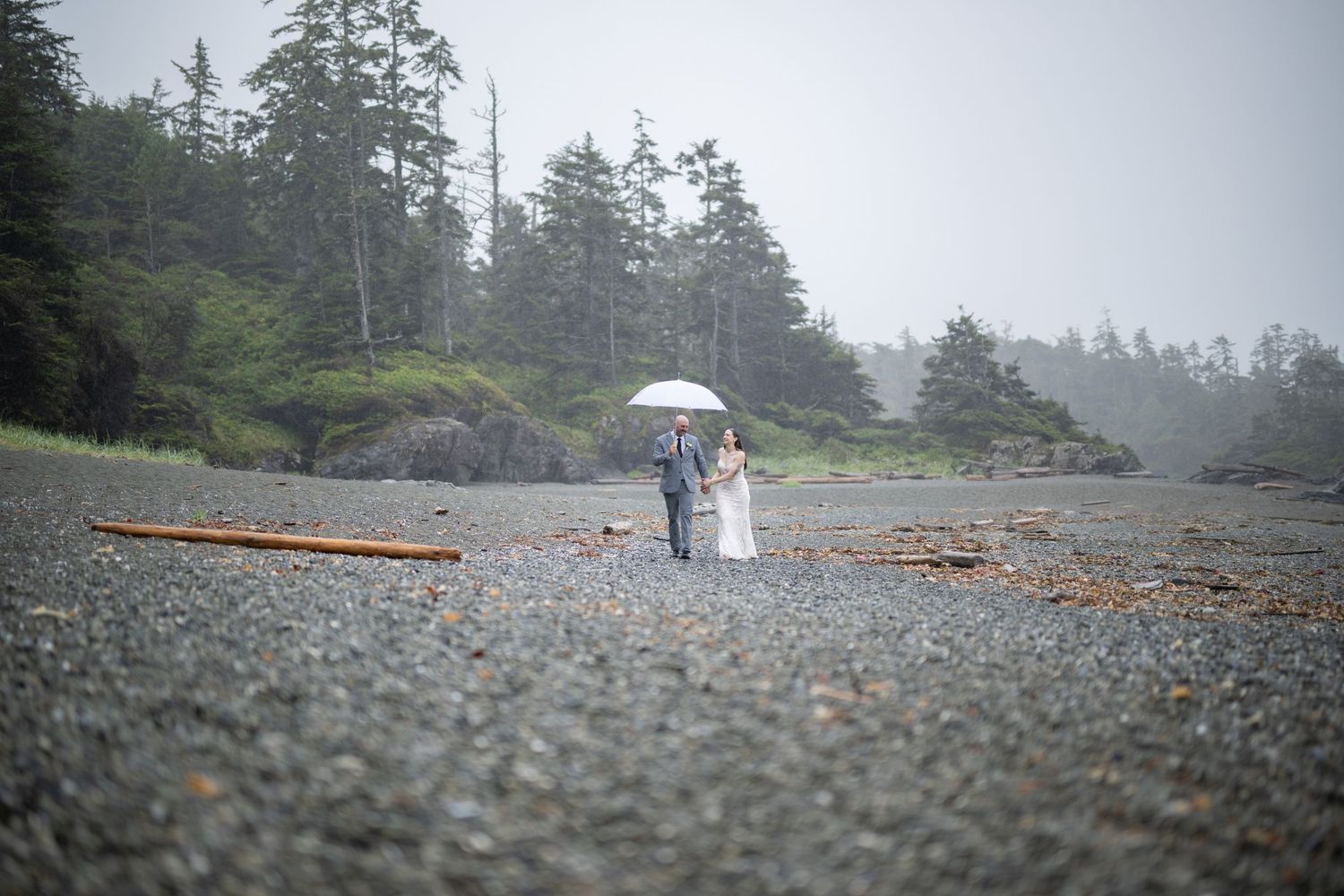 Misty coastline with evergreen trees and a lone umbrella visible in the distance.