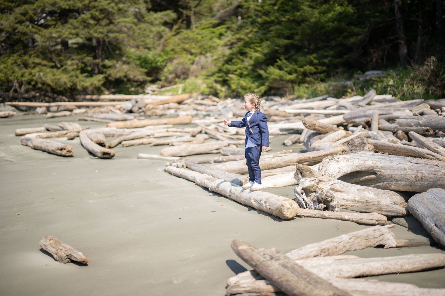 Driftwood logs line a pristine sandy beach with forested hills in the background.