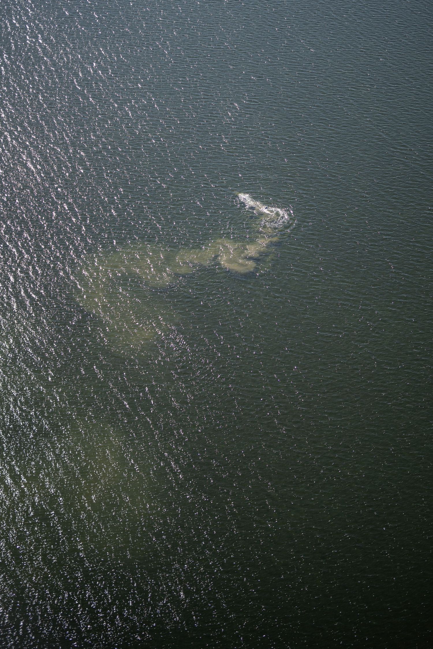 Aerial view of dark water surface with sunlight reflections creating a sparkling pattern.