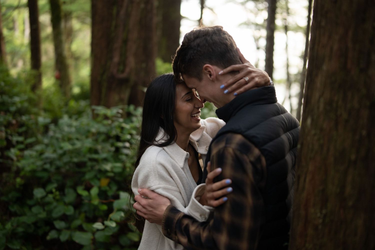 Intimate moment captured between trees in a dense evergreen forest.