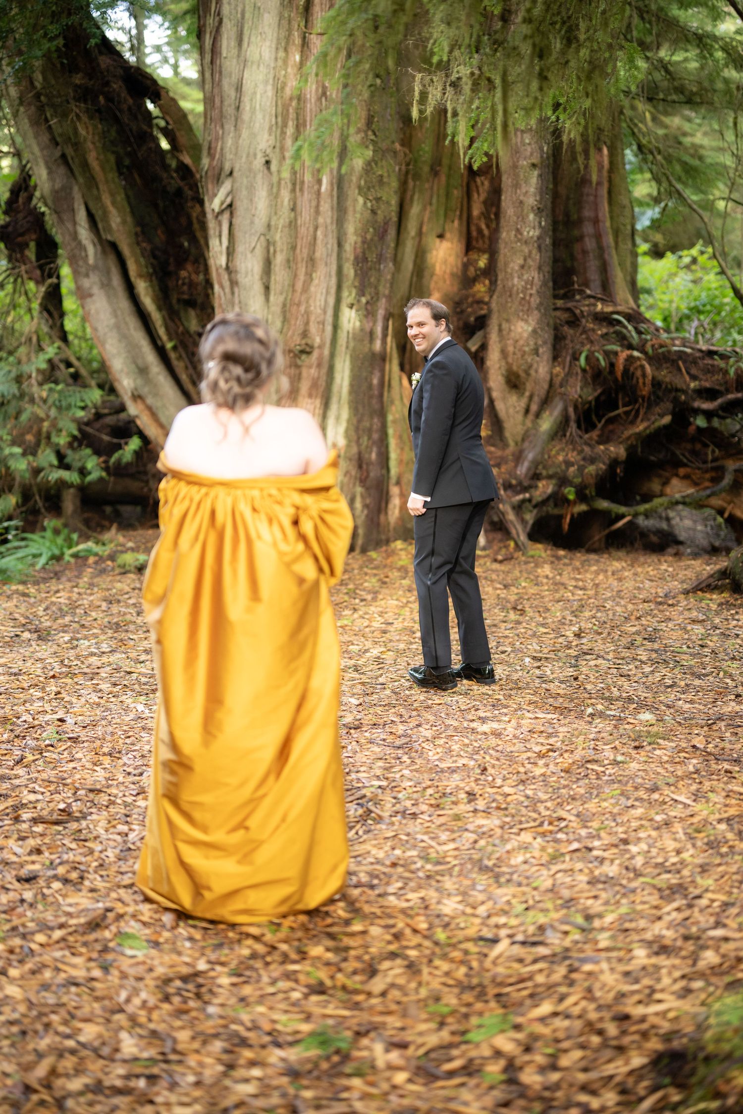 A yellow dress spins gracefully among towering trees in a wooded setting.