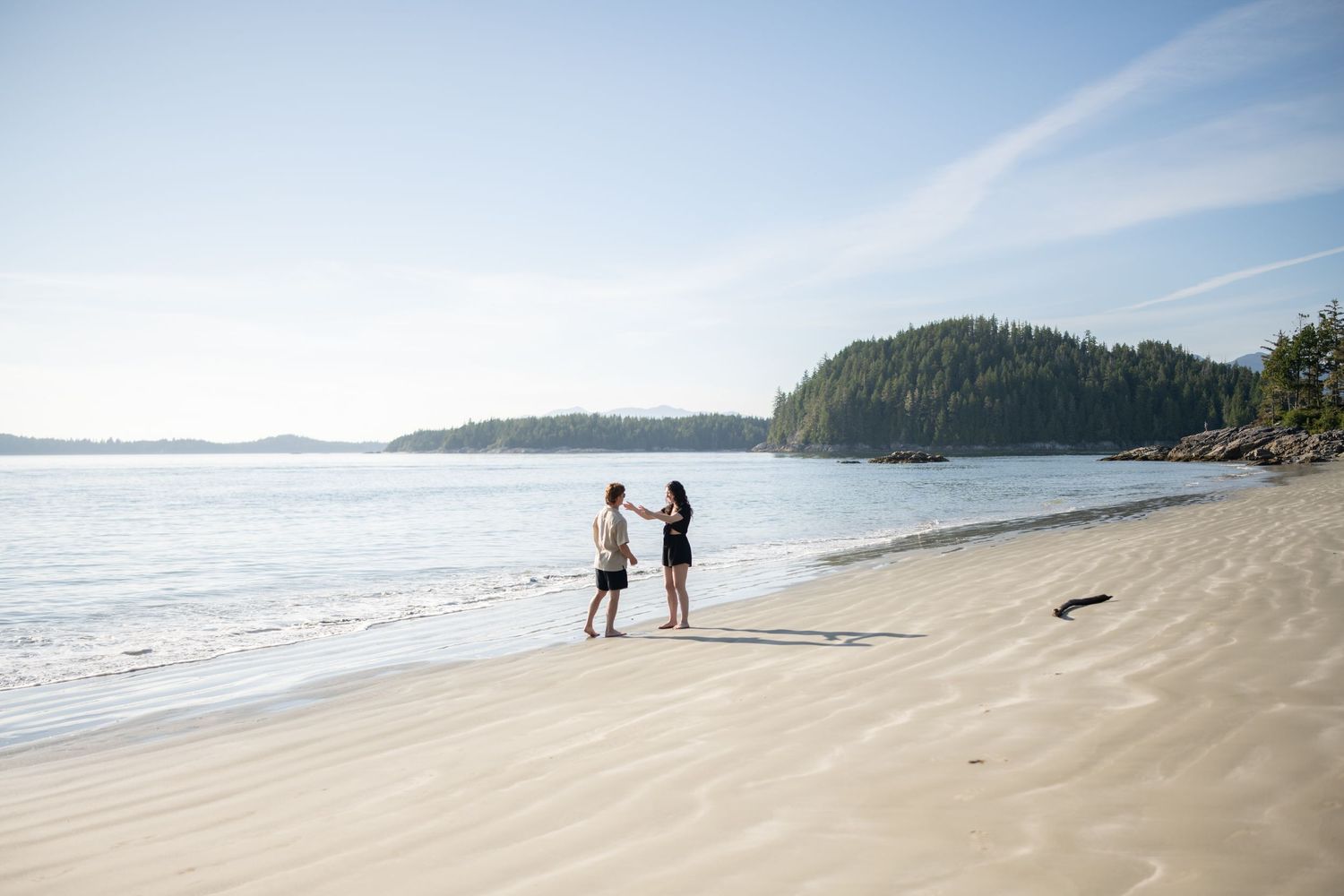 Scenic coastal landscape showing a long stretch of sandy beach with distant tree-covered headlands.