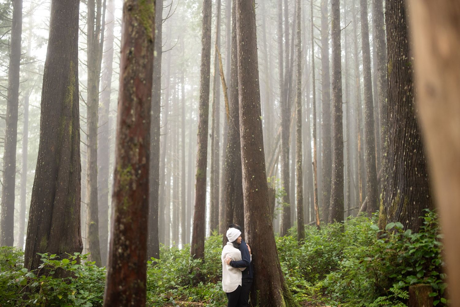 A person in white standing among towering misty forest trees.