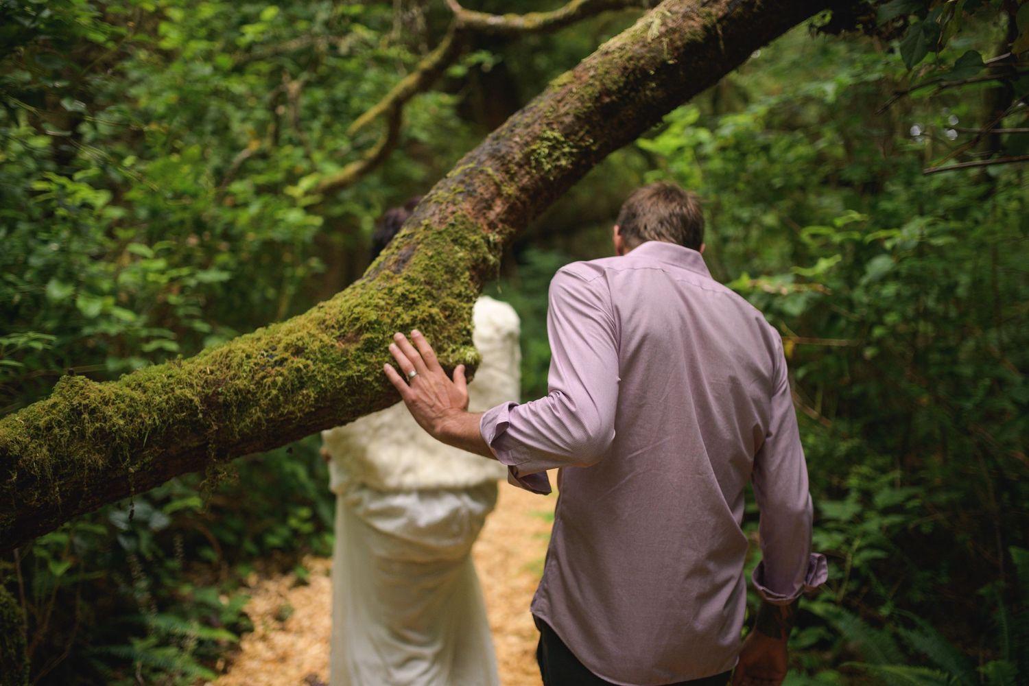 Moss-covered trees create a lush canopy in a Pacific Northwest forest setting.