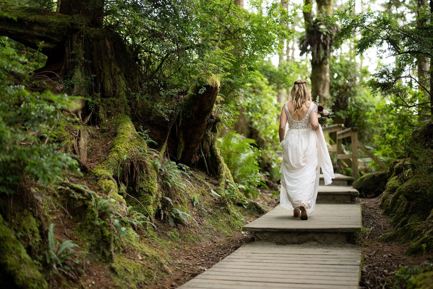 A wooden boardwalk winds through lush green forest with dappled sunlight filtering through the trees.