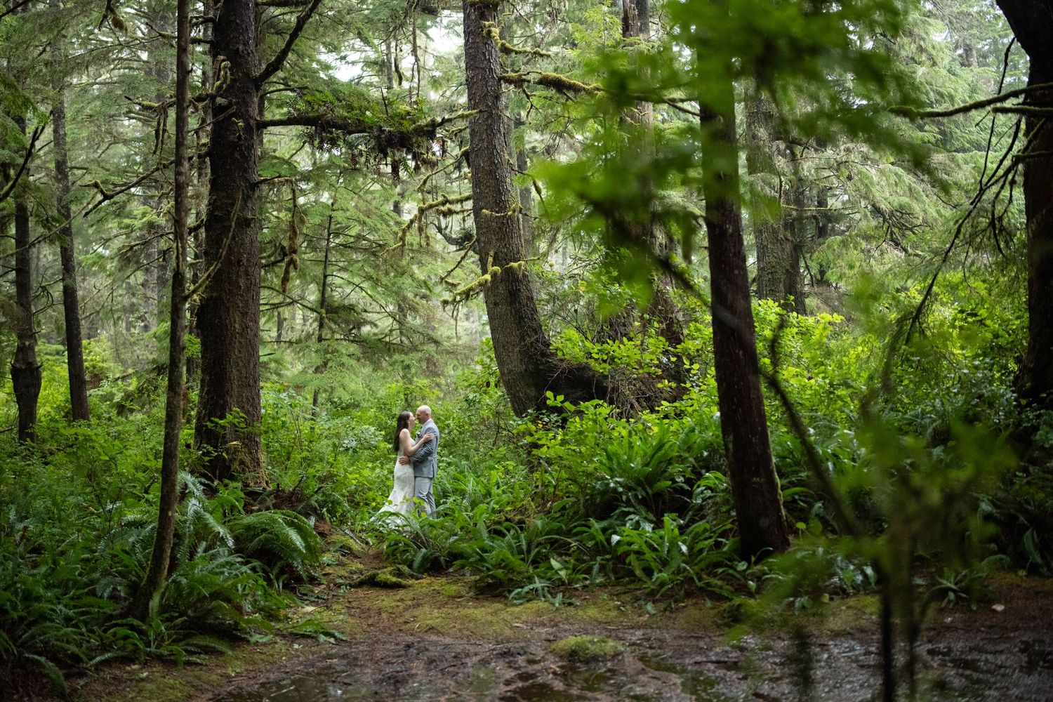 Scenic forest path with tall evergreen trees creating a natural wedding backdrop.