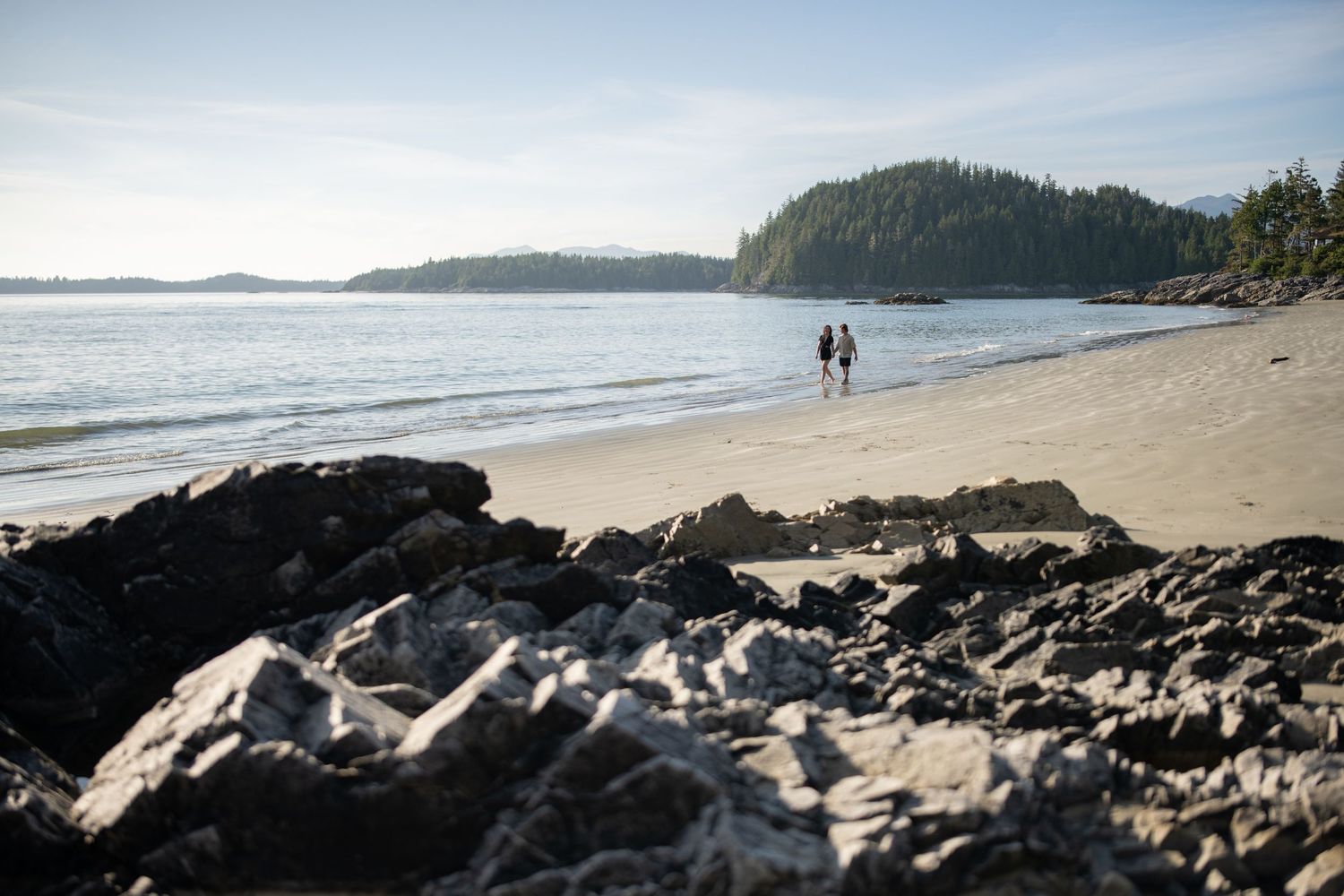 Scenic panoramic view of a rocky Pacific Northwest beach with mountains and forest in the distance.