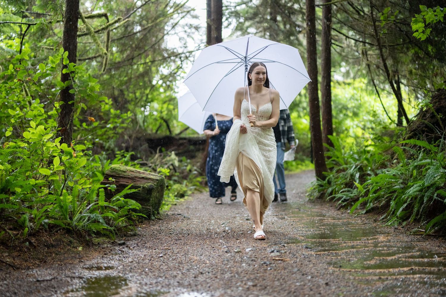 Wedding party walking along a forest trail surrounded by greenery.