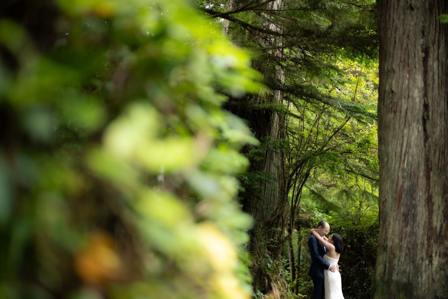 A couple stands together in a lush forest setting with tall evergreen trees creating a natural canopy.