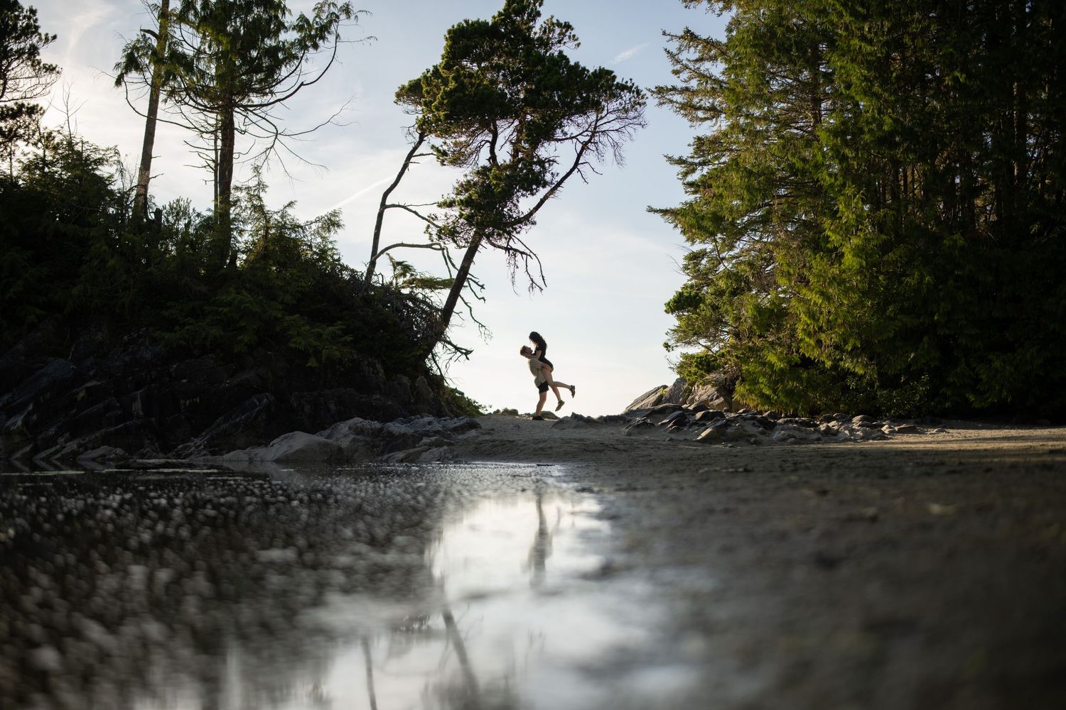 Misty coastal landscape with evergreen trees silhouetted against bright sky.