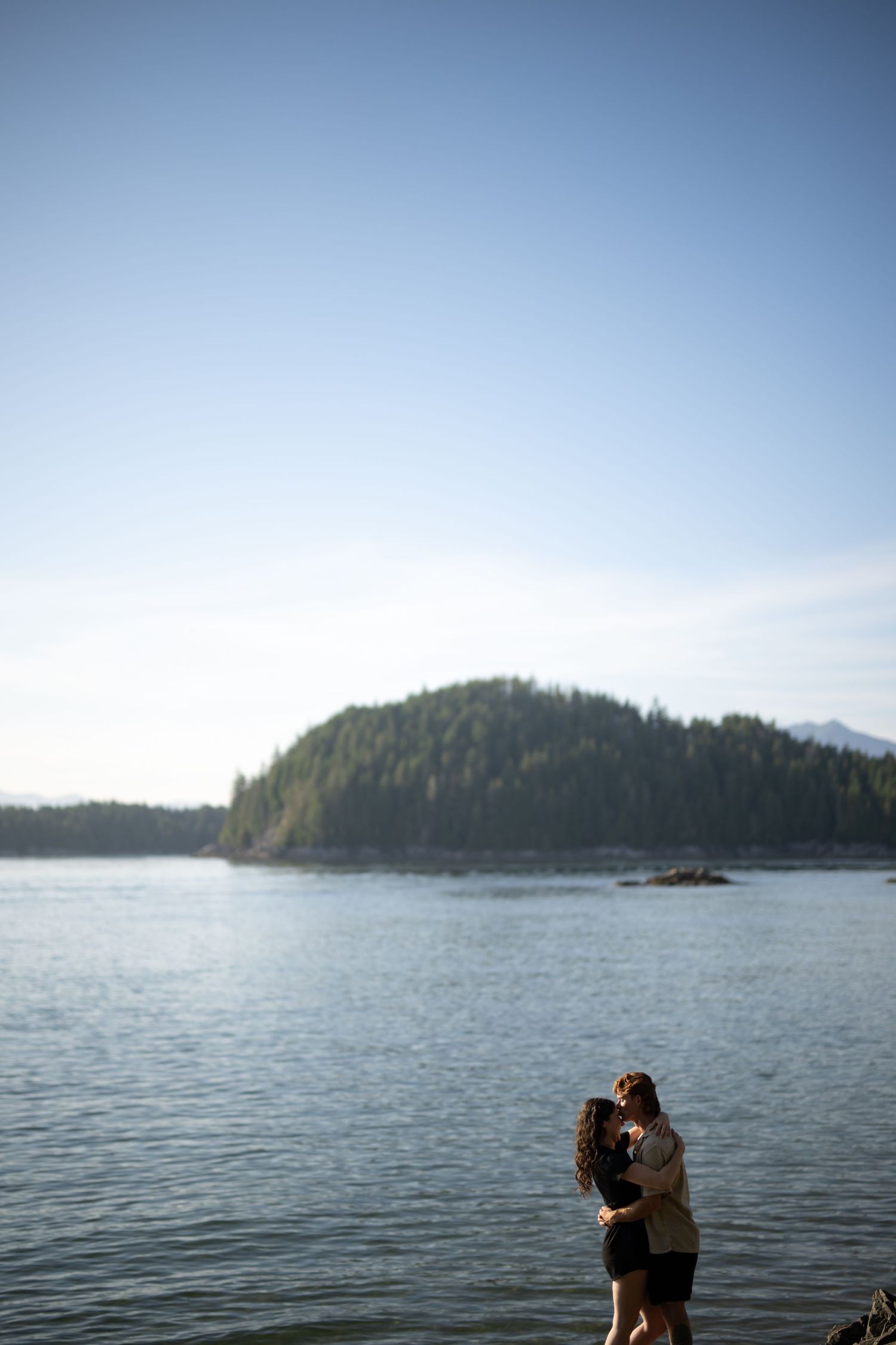 Scenic coastal landscape with evergreen trees and calm waters under bright blue skies.