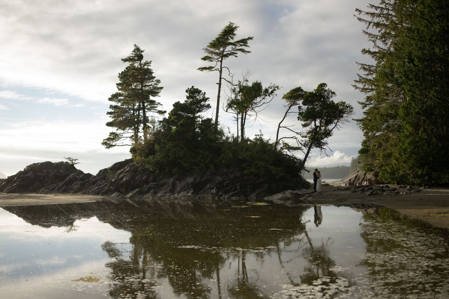 Dramatic coastal landscape with evergreen trees silhouetted against cloudy skies and rocky shoreline.