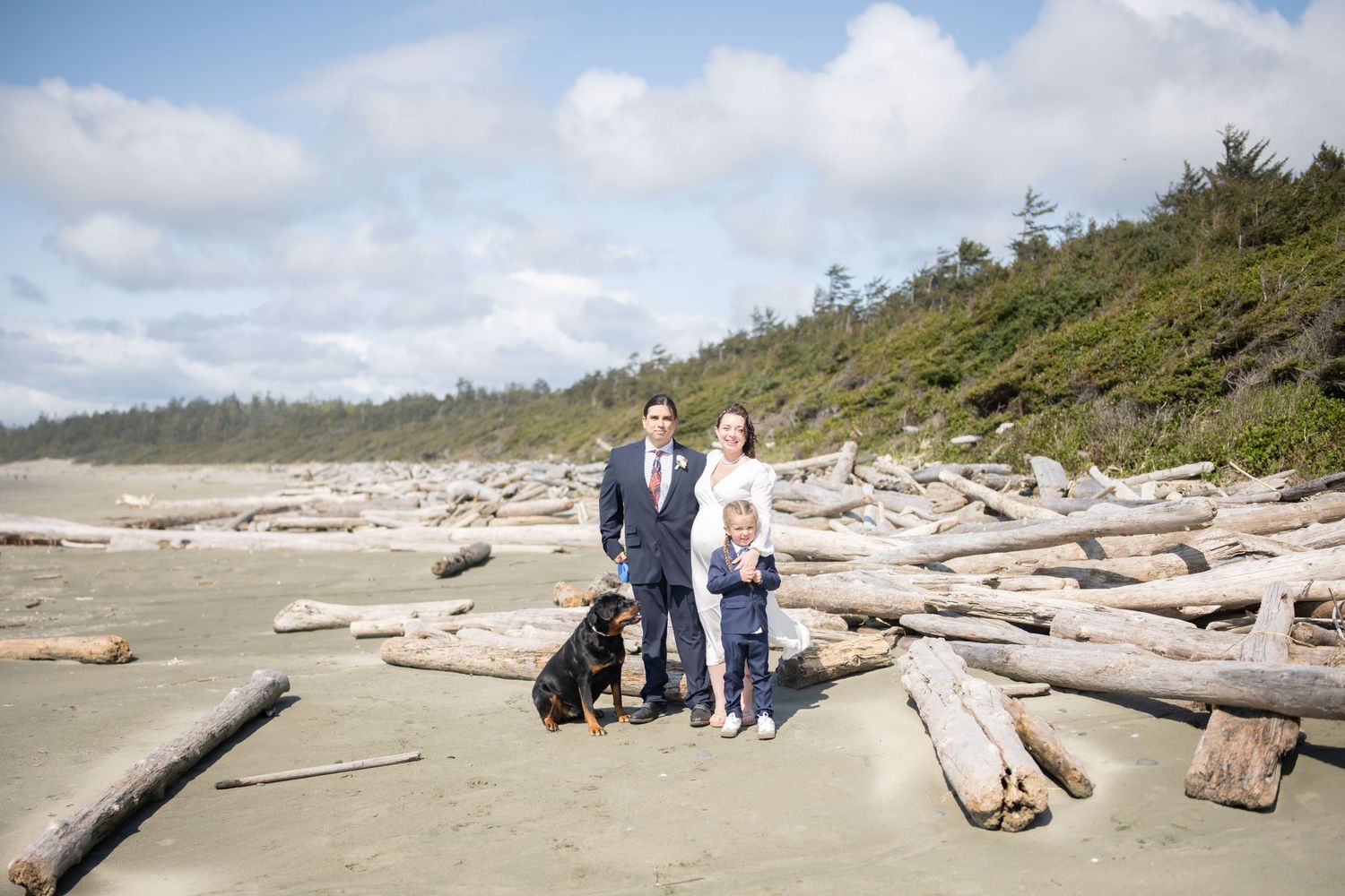 Wide angle beach scene with scattered driftwood and people walking along the shore.