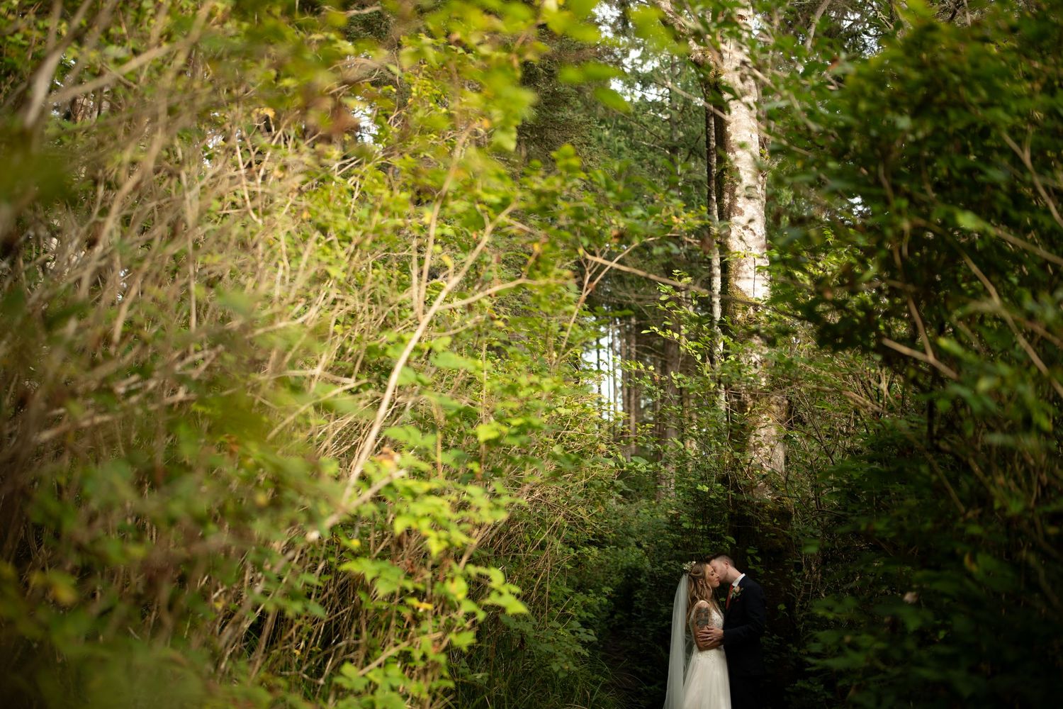 Sunlit forest path with birch trees creates natural wedding ceremony backdrop.