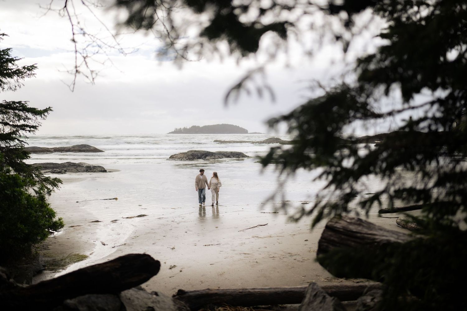 Serene beach landscape with waves rolling onto shore and trees framing the view.