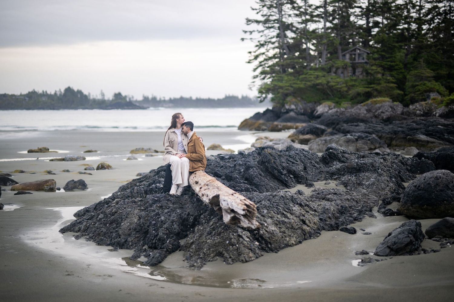 Panoramic view of a Pacific Northwest beach with volcanic outcrops and evergreen trees.