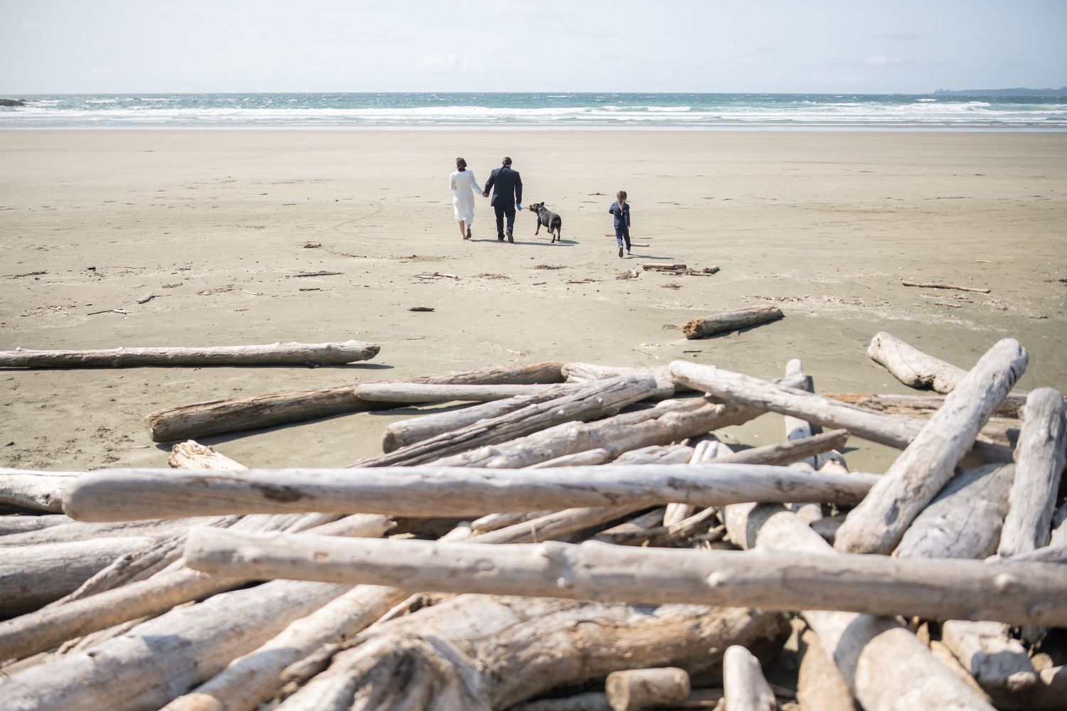 Beach landscape with weathered driftwood and distant figures walking along the shoreline.