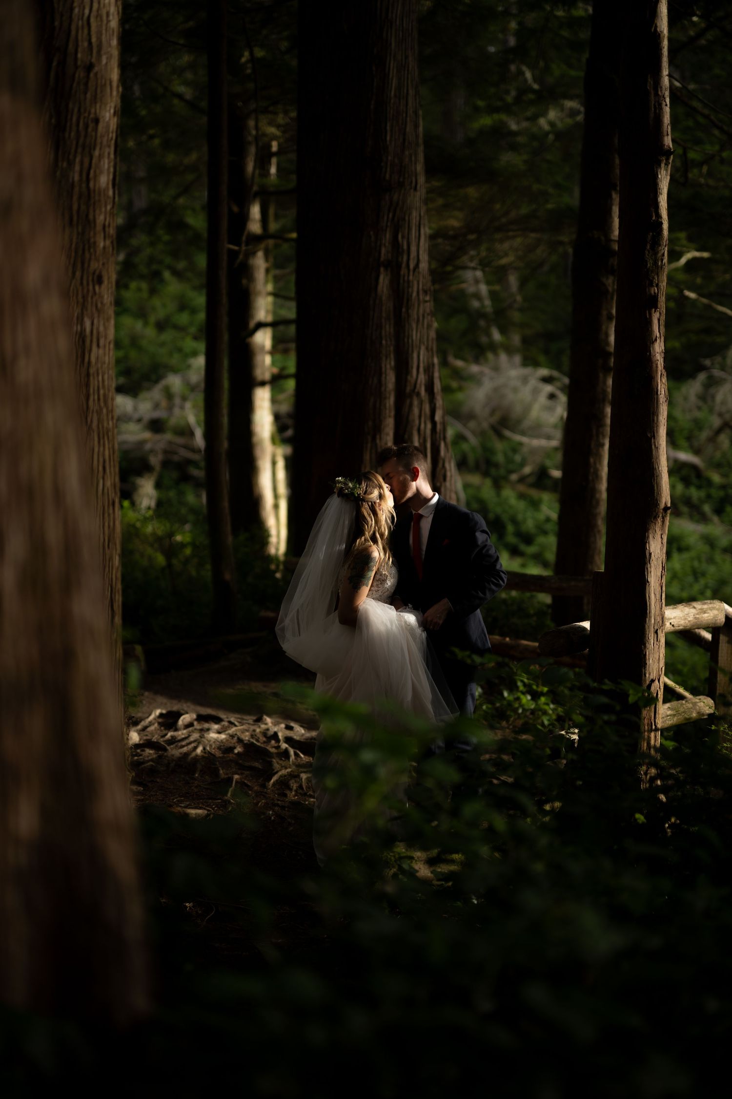 Wedding couple poses between tall evergreen trees in moody forest setting.