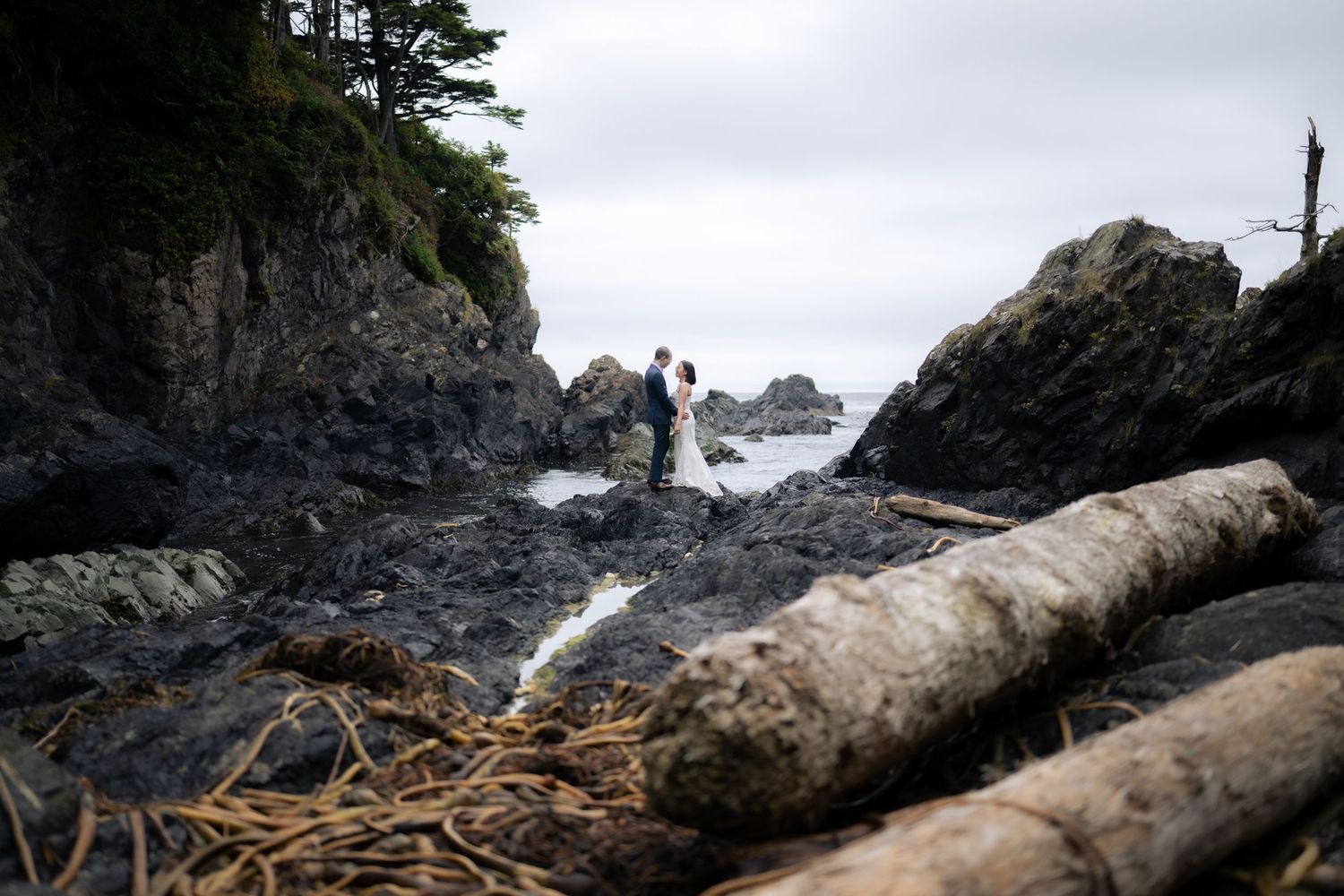 Rocky coastal landscape with dramatic cliffs and driftwood along the Pacific Northwest shoreline.