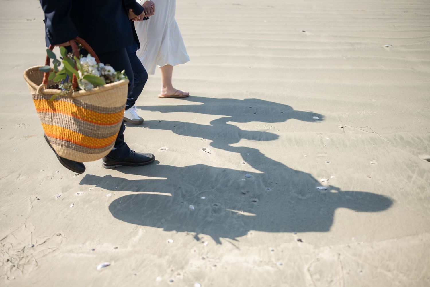Shadows cast on sandy beach near weathered driftwood logs.