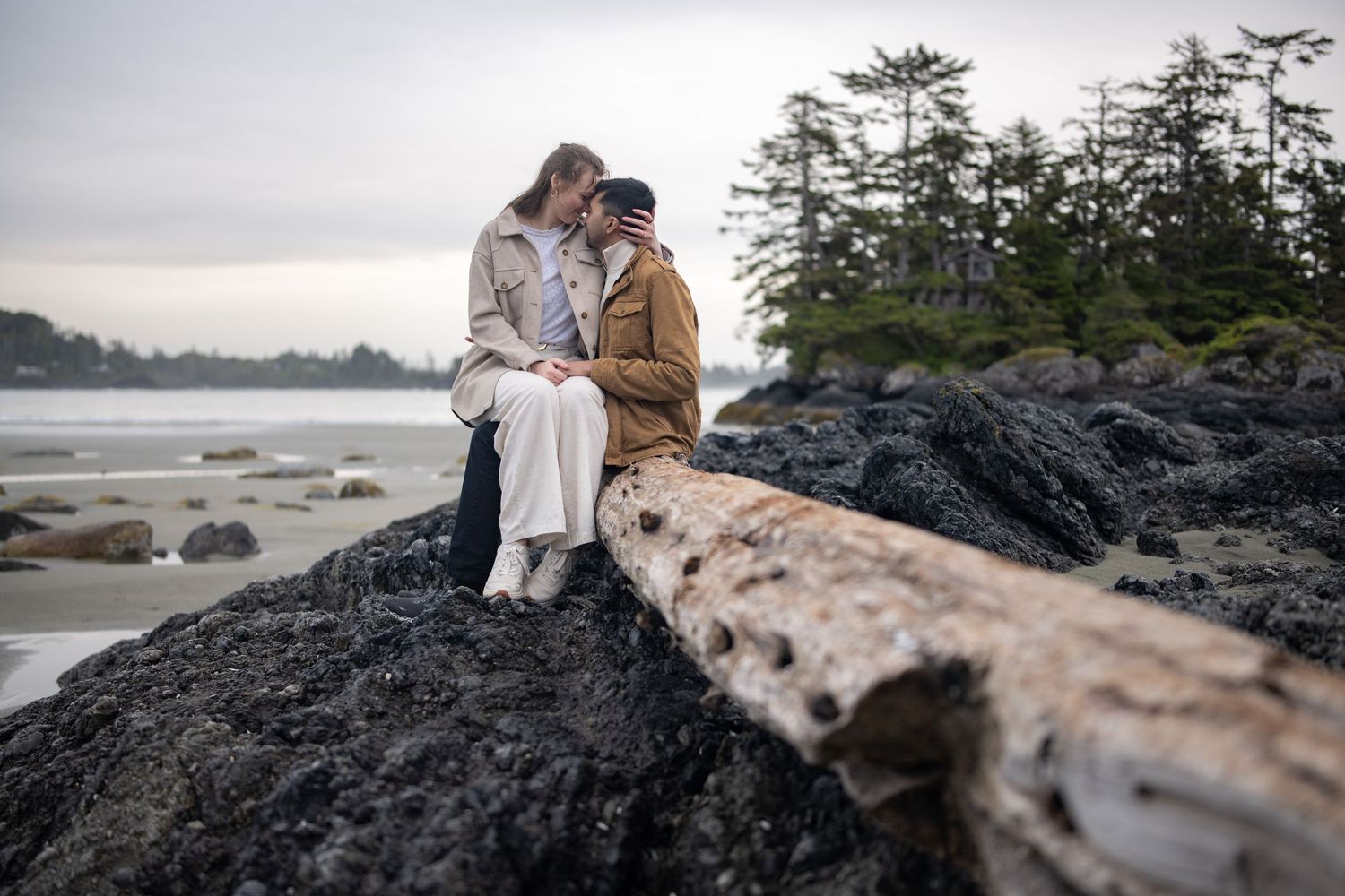 Evergreen trees line a misty coastal landscape with volcanic rock formations.