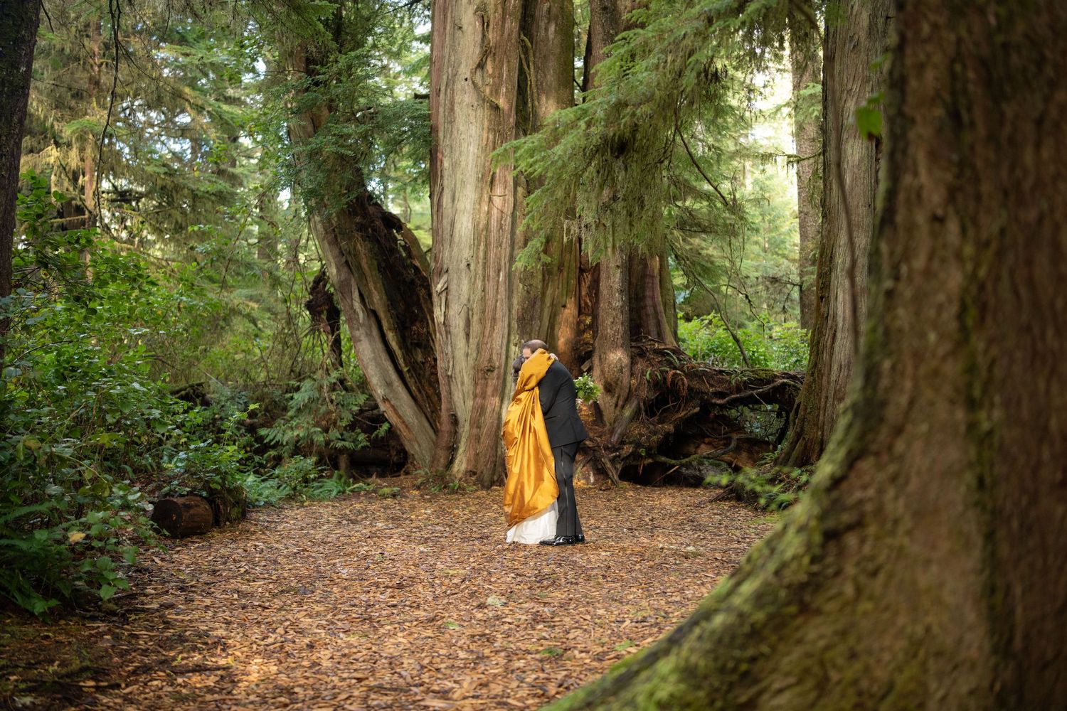 A serene forest wedding scene with tall cedar trees and scattered autumn leaves on the ground.