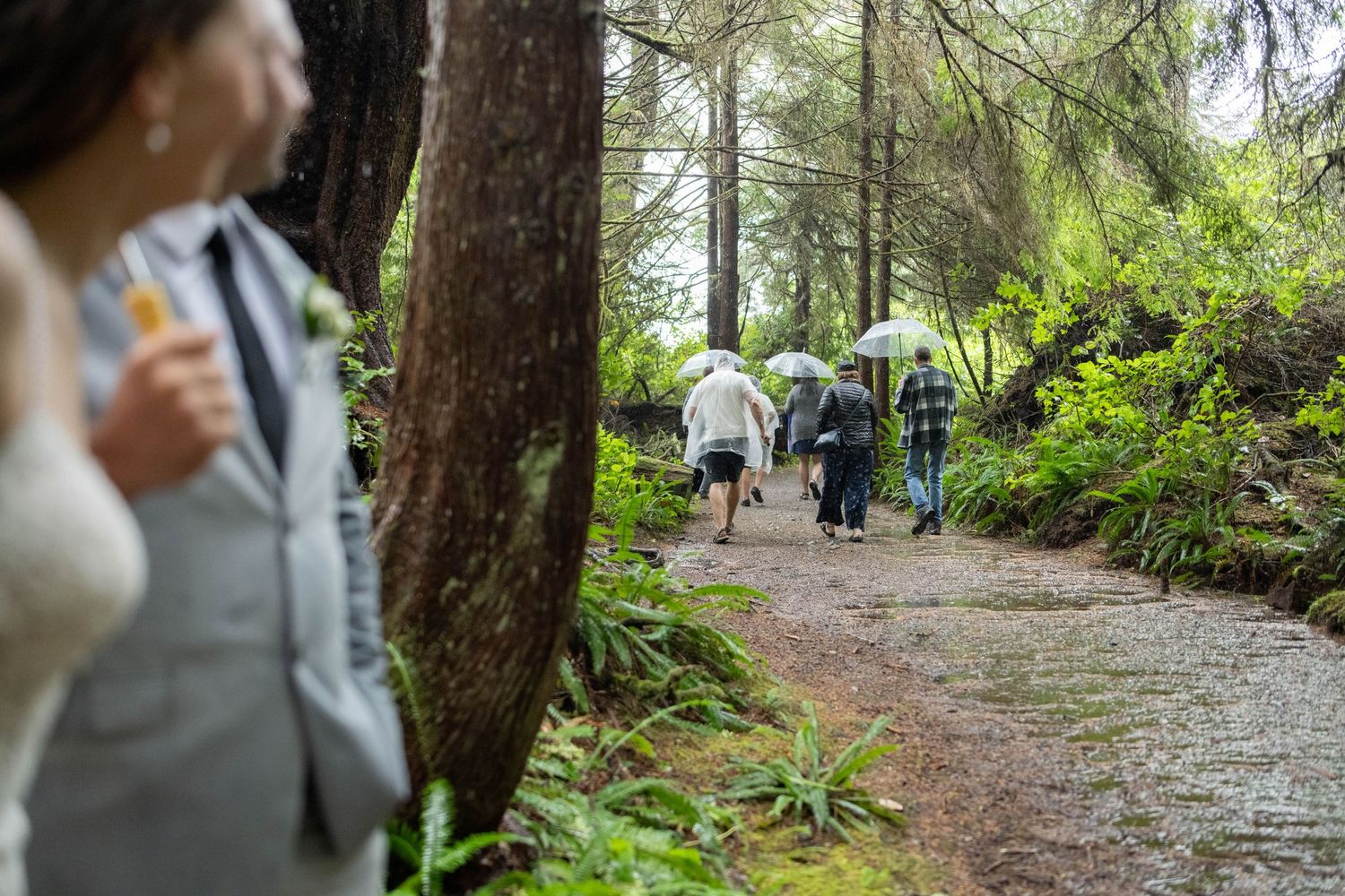 Forest wedding ceremony captured from a distance showing guests among tall trees.