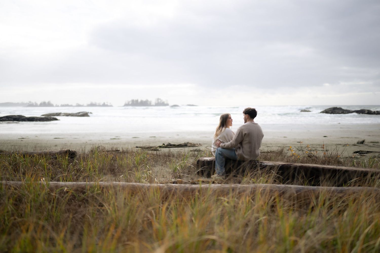 Panoramic beach scene with driftwood, coastal grasses, and distant rocky shoreline.