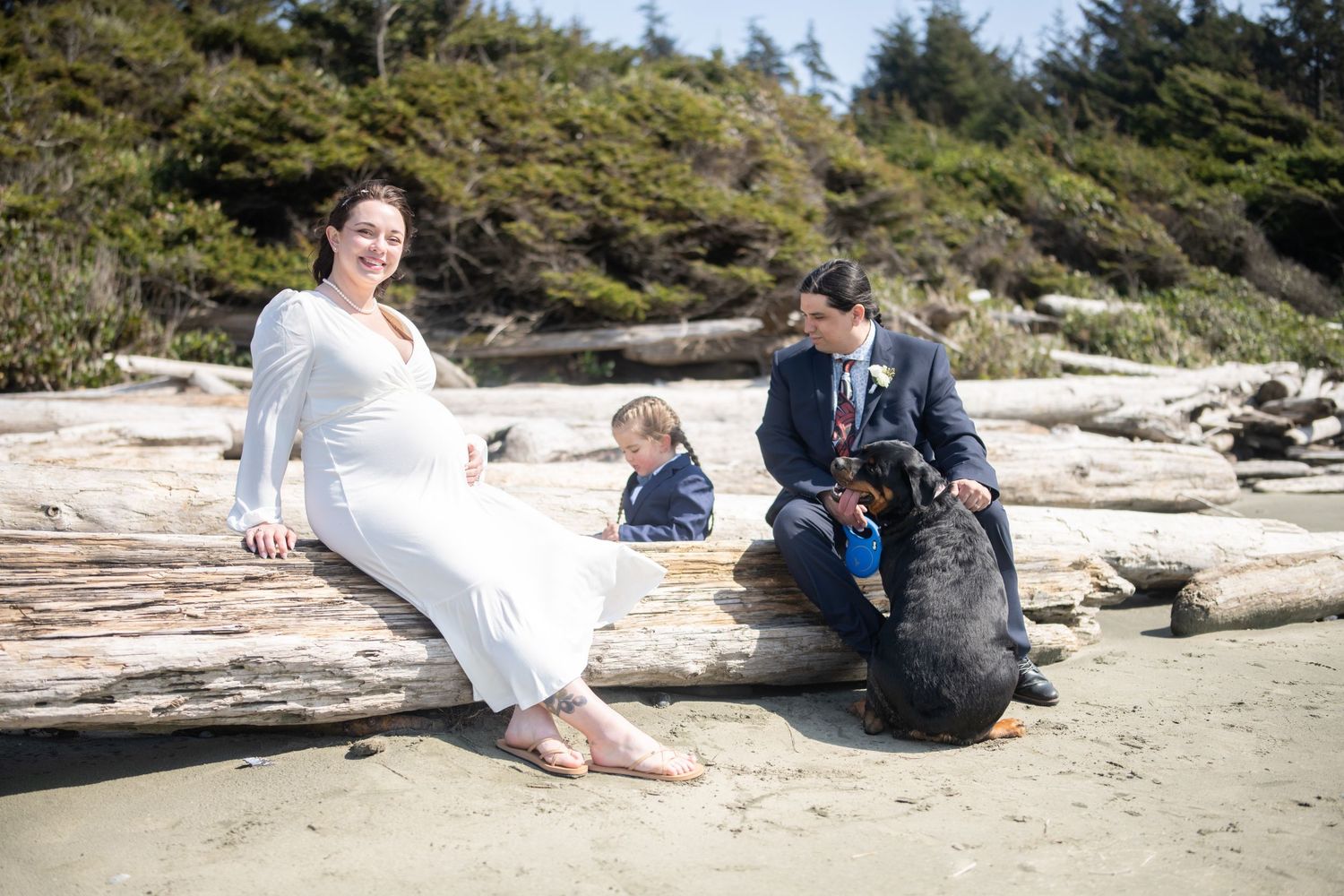 People relaxing on sandy beach with driftwood and evergreen forest backdrop.