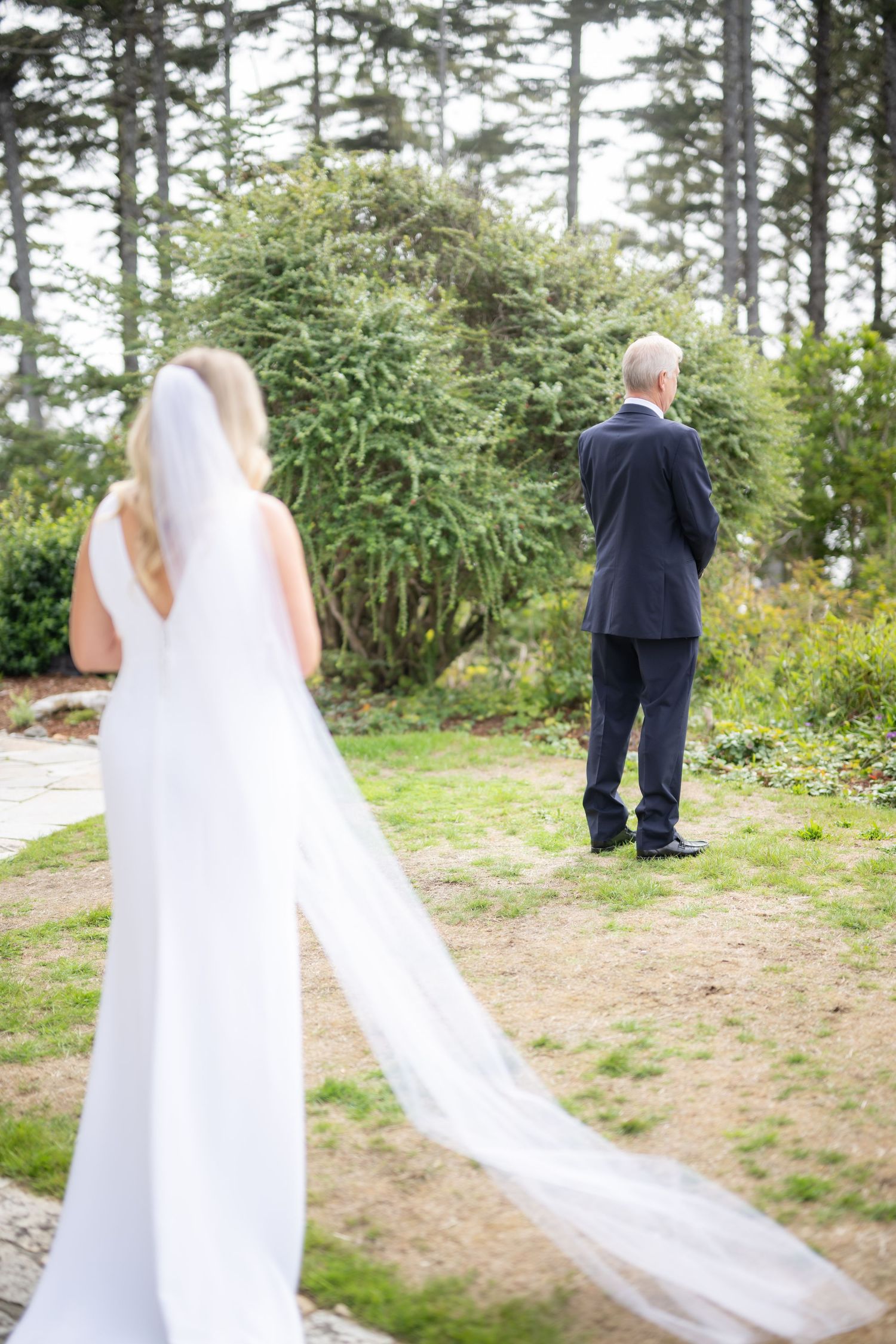 A first look wedding moment captured in a scenic outdoor setting with tall pine trees.