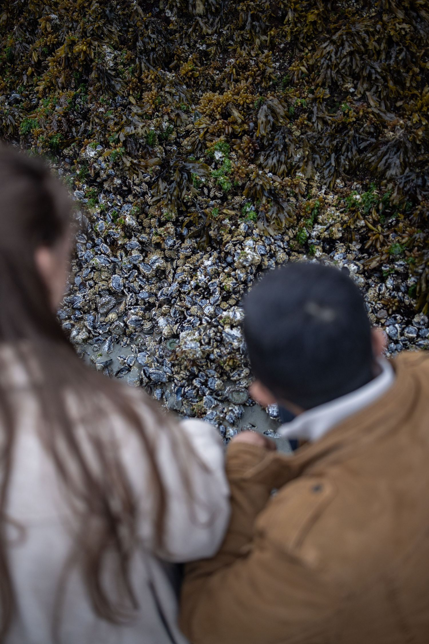 Close-up view of textured volcanic rocks against a blurred coastal background.
