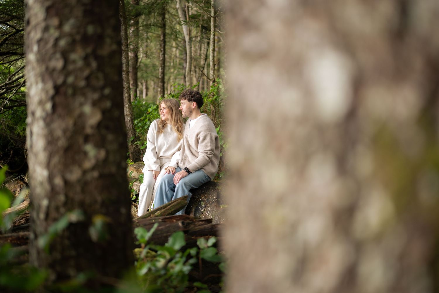 Romantic forest scene framed by blurred tree trunks in foreground.
