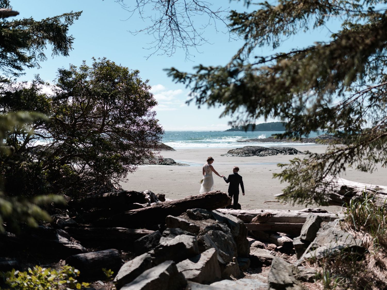 Rocky beach shoreline with driftwood and evergreen trees framing the coastal view.