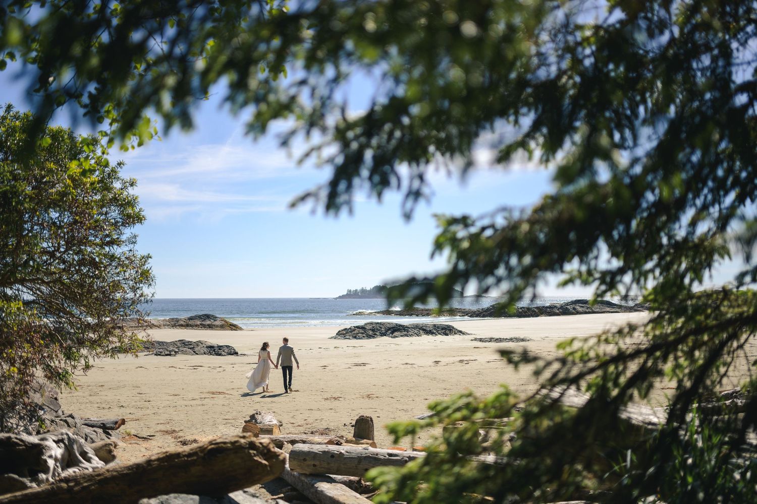 Scenic beach landscape with evergreen trees framing a sandy shoreline.