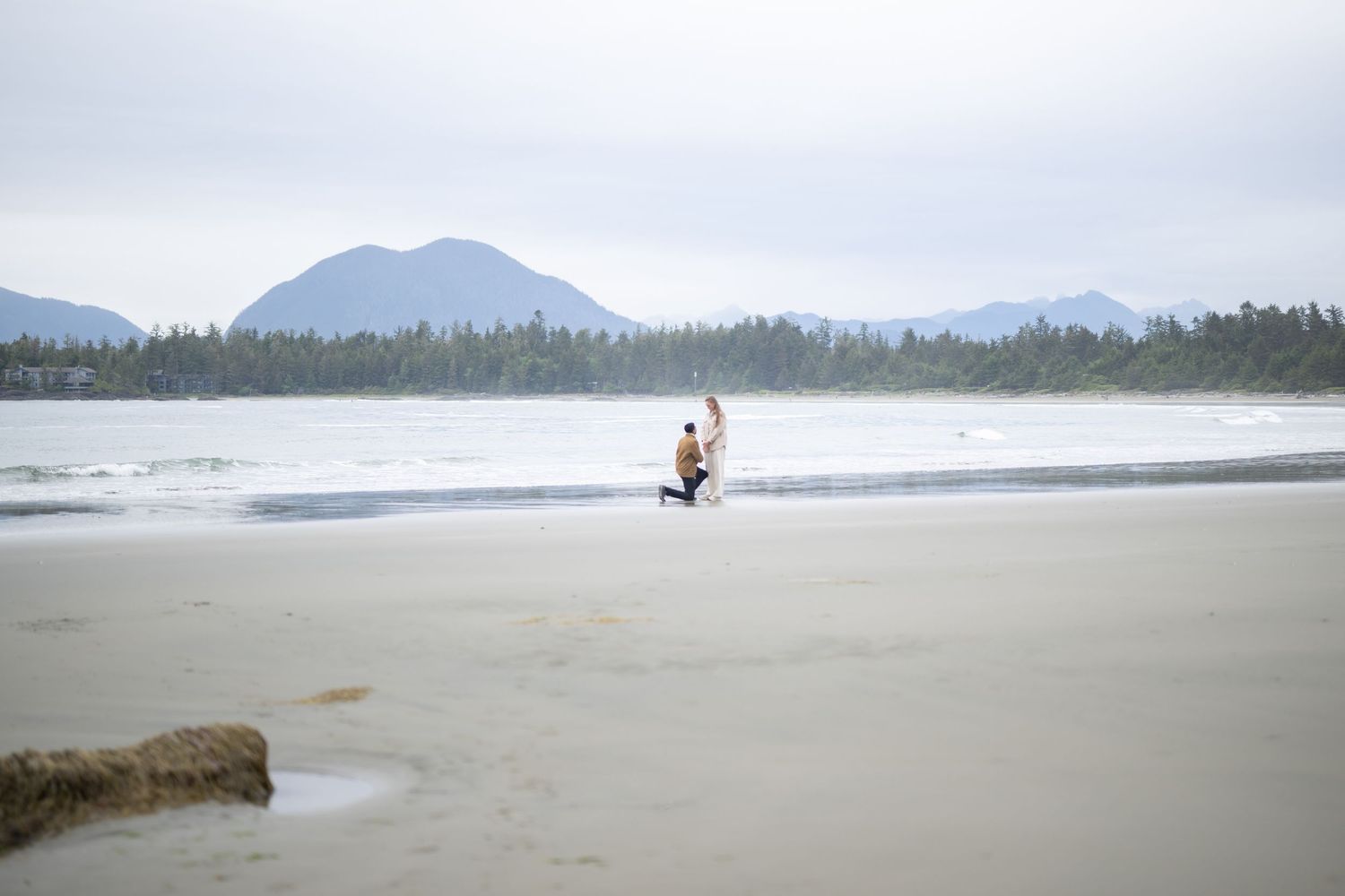 Expansive beach landscape with mountains and forest under overcast skies.
