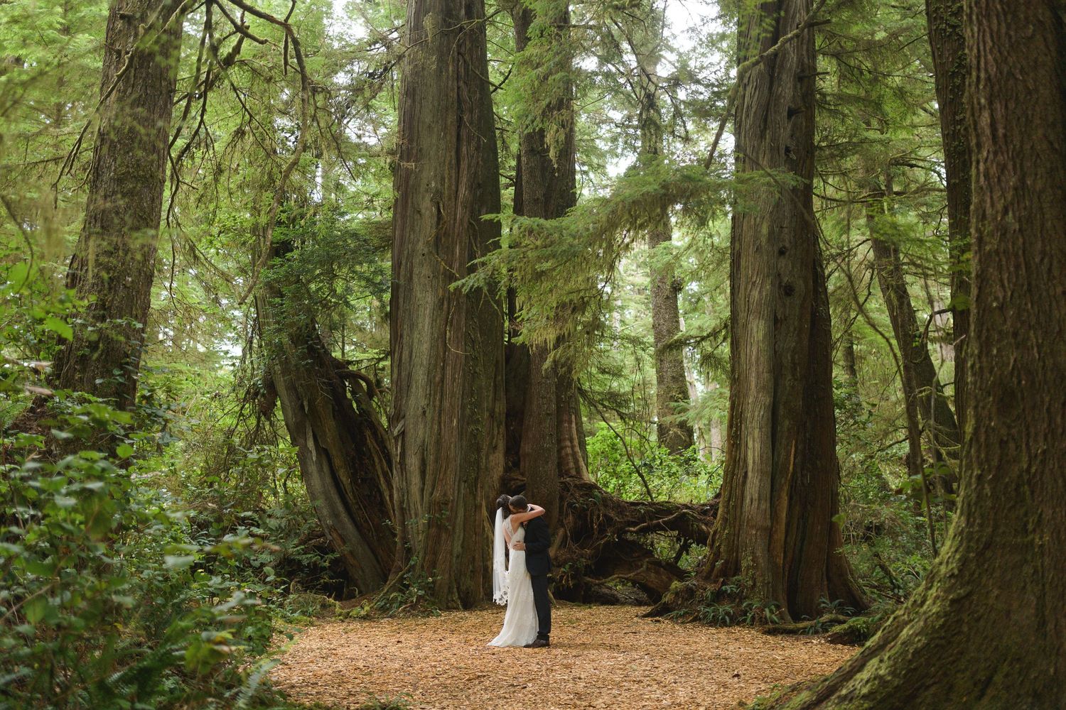 A couple stands among towering trees on a forest path.