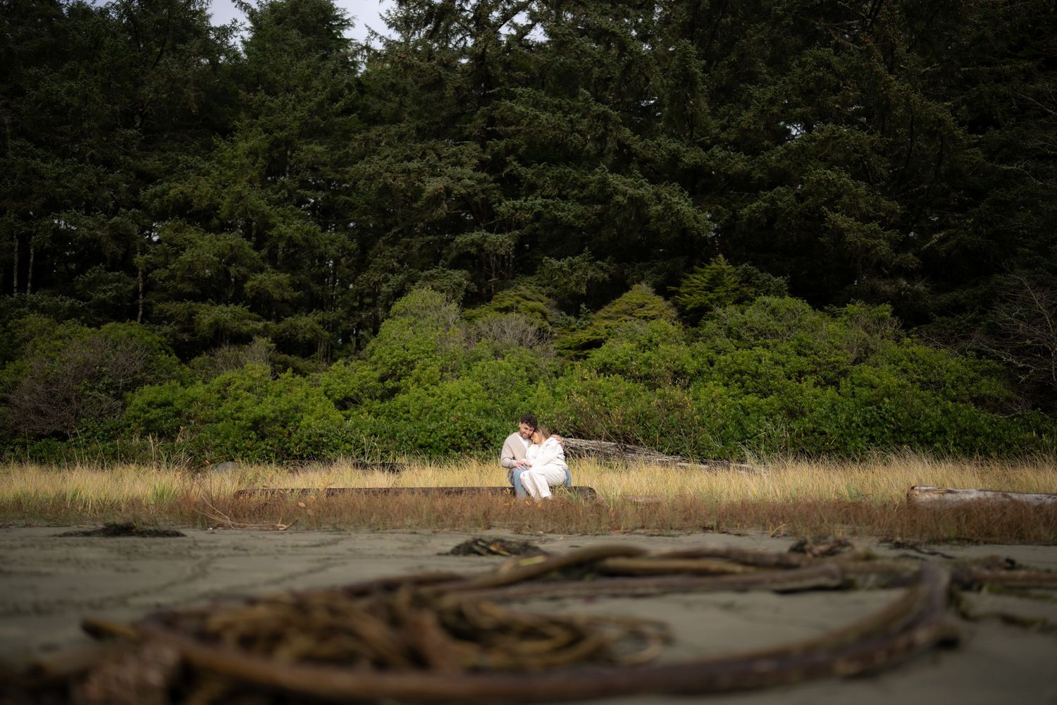Wide landscape view of Pacific Northwest coastline with tiny figures in the distance.
