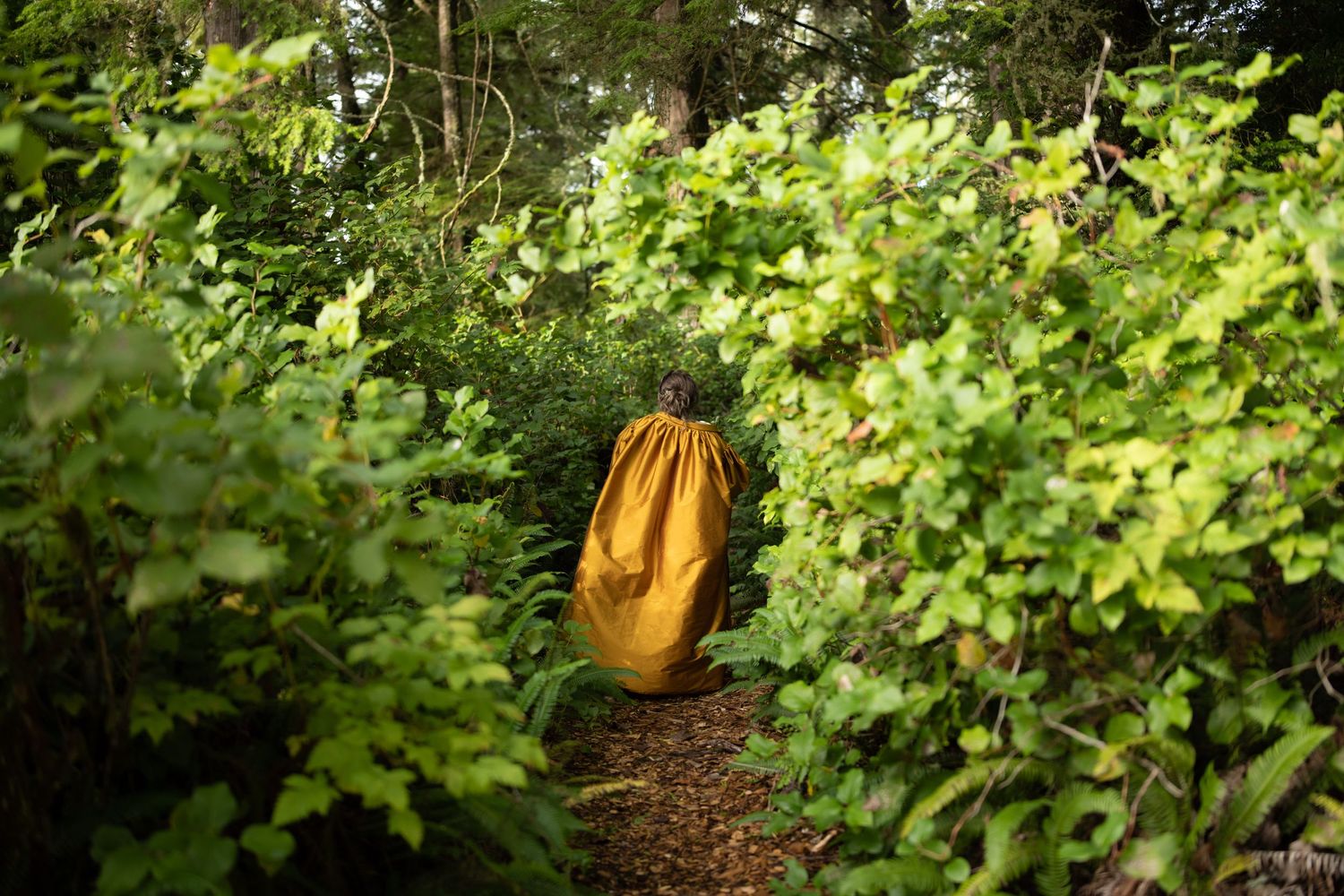 A forest path covered in fallen leaves leads through towering evergreen trees in a peaceful woodland setting.