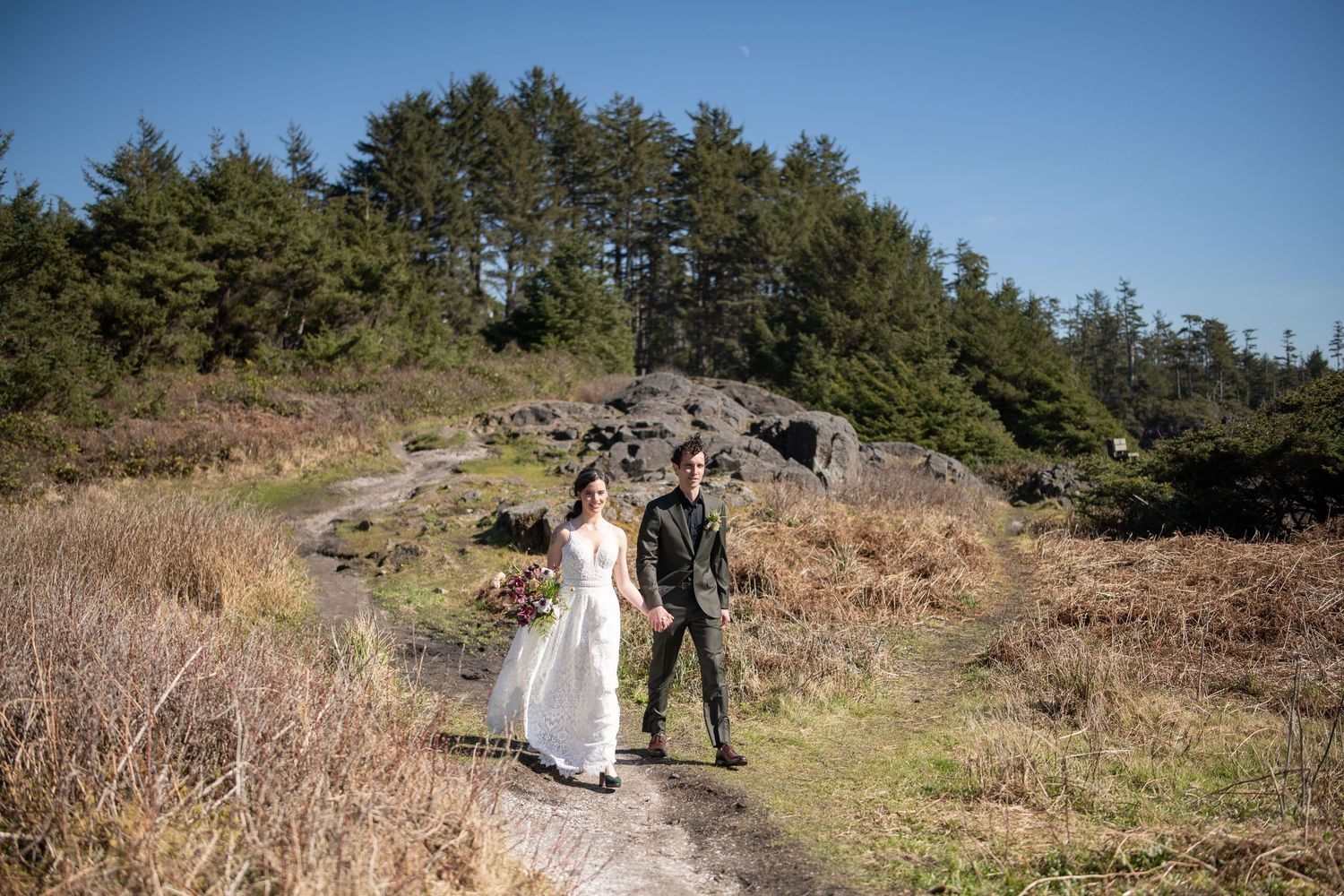 Scenic coastal trail winding through evergreen forest and rocky cliffs with ocean views.