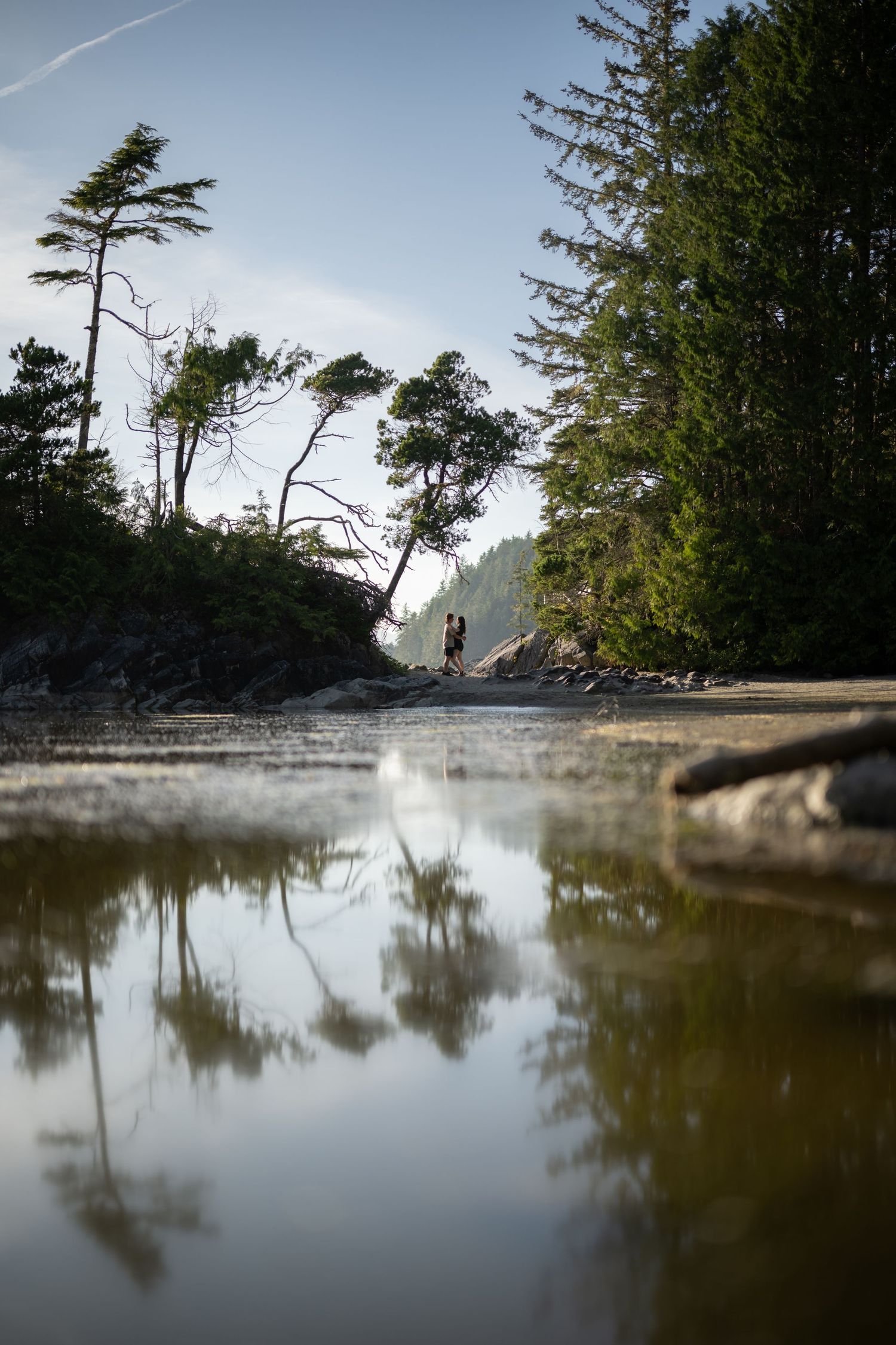 Tranquil coastal scene with trees reflected in still water under blue sky.