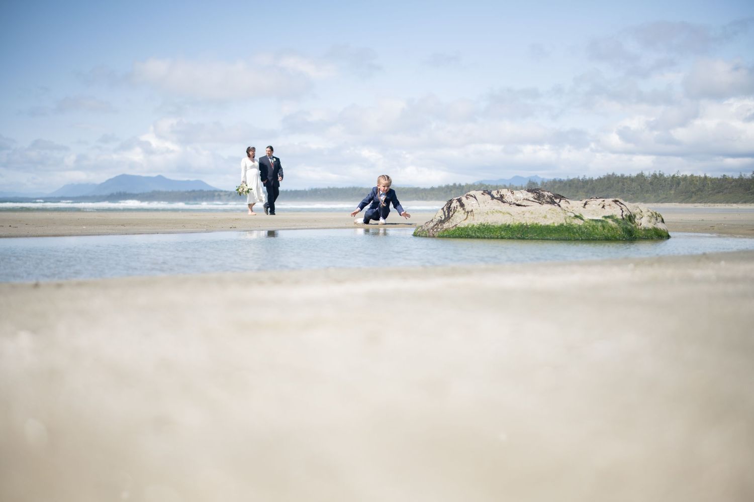 Distant figures walk along expansive empty beach with evergreen forest coastline.